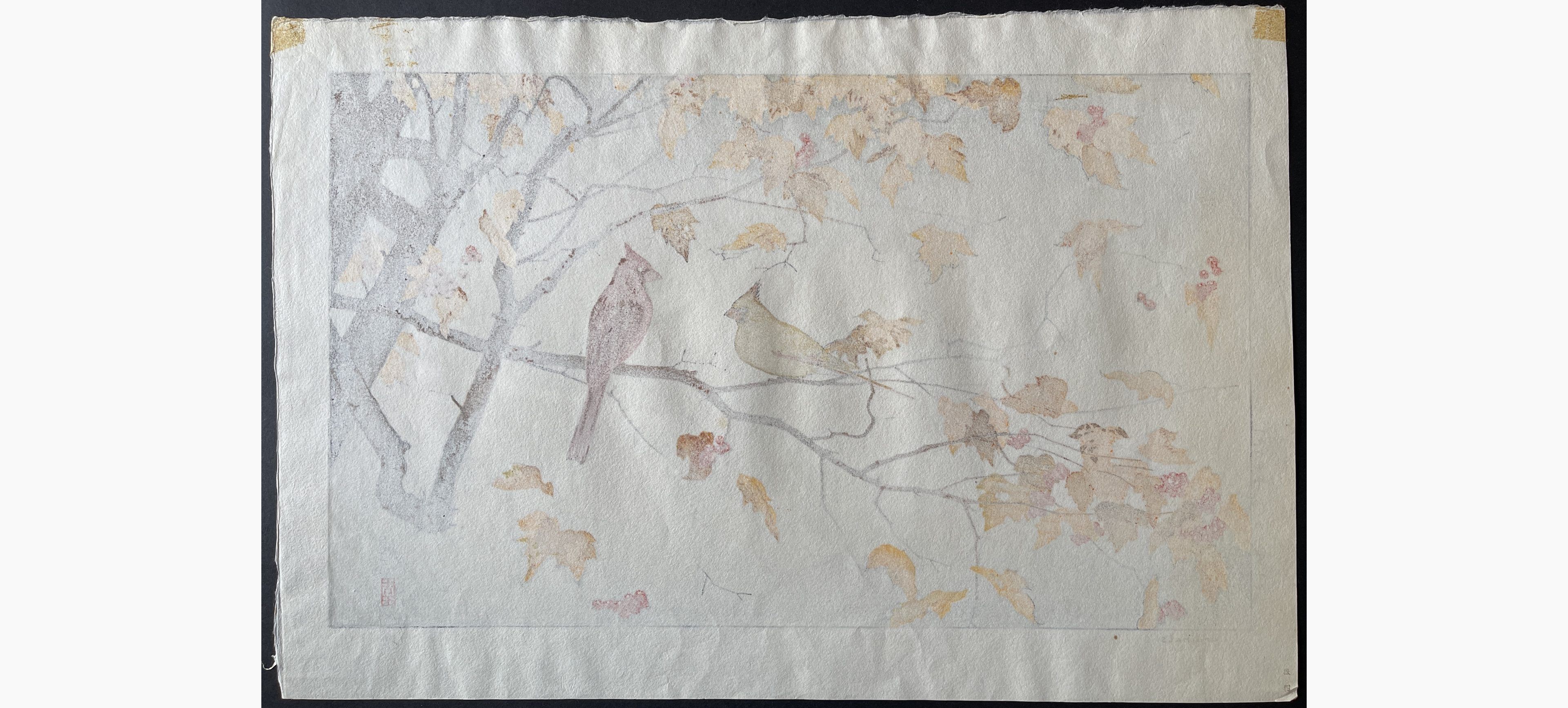 Japanese print - Toshi Yoshida - Cardinals