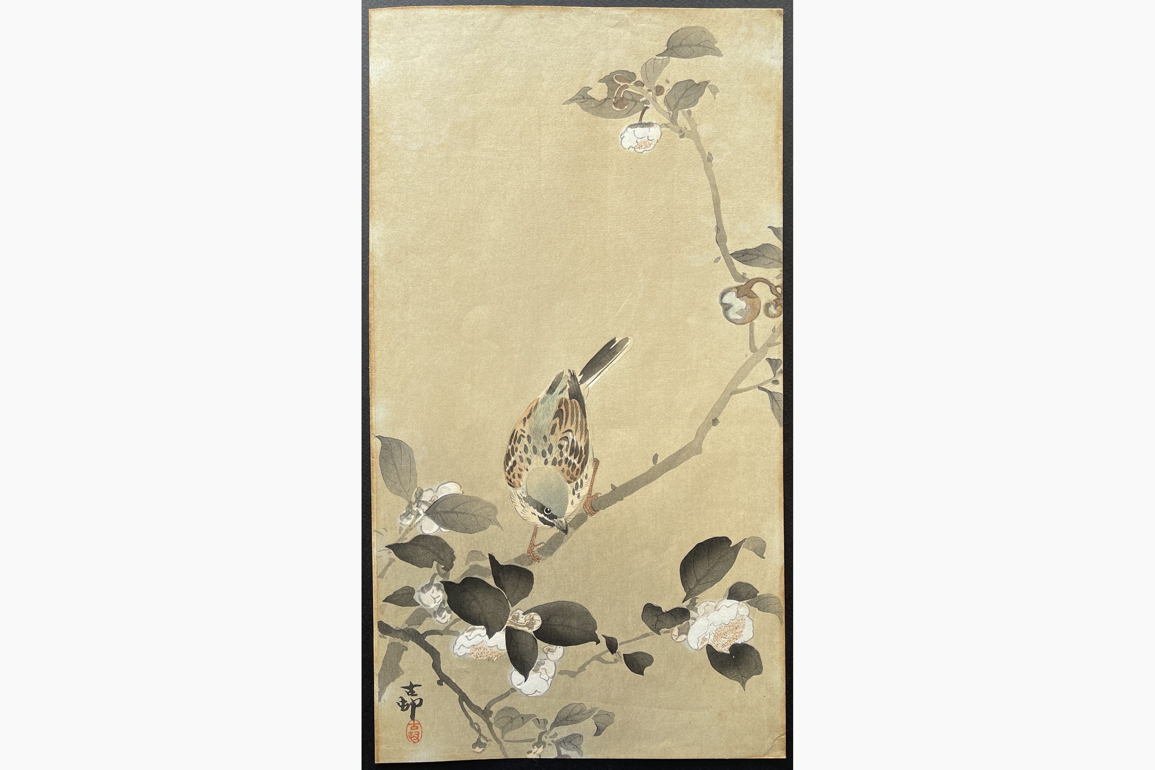 Japanese woodblock print - Ohara Koson - Bunting Perched on the Branch of a Flowering Plant