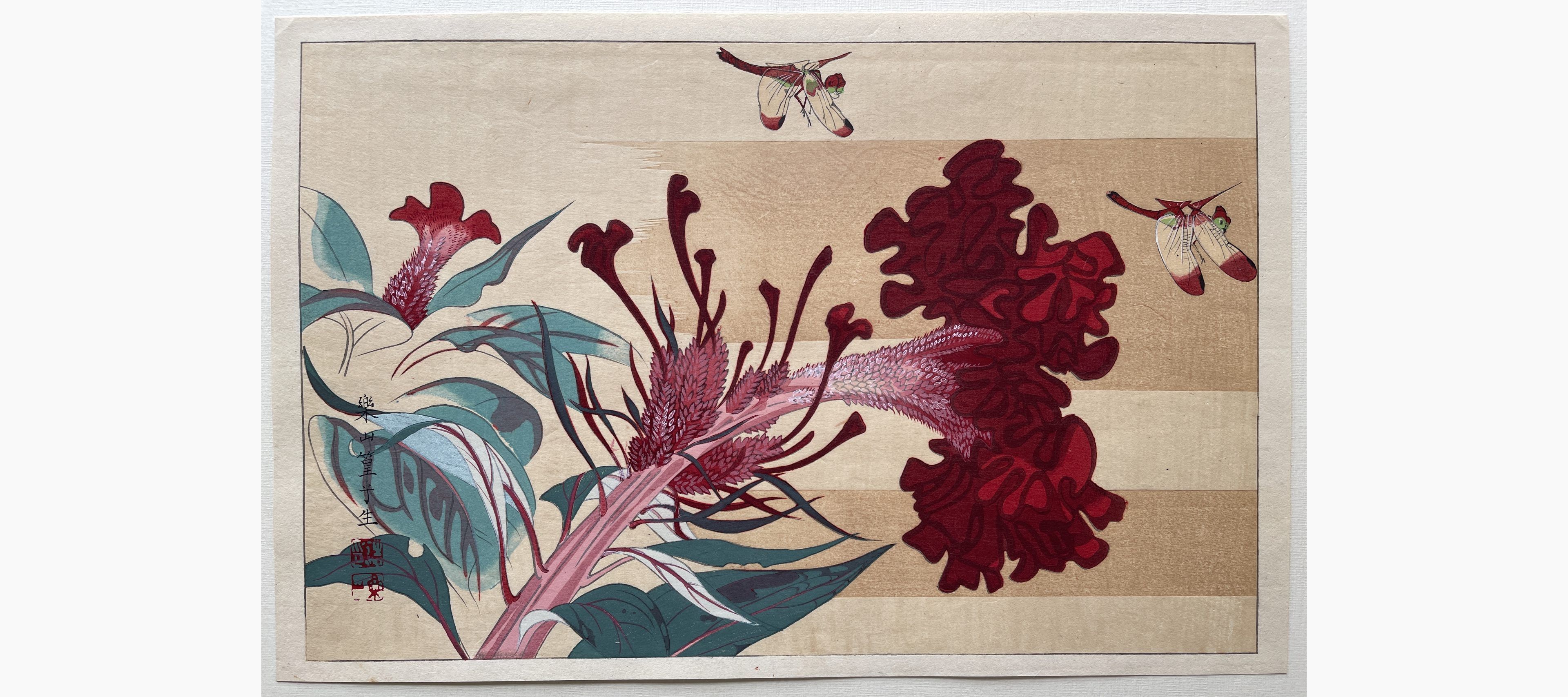 Japanese woodblock print - Rakusan Tsuchiya - Dragonflies and Flowers