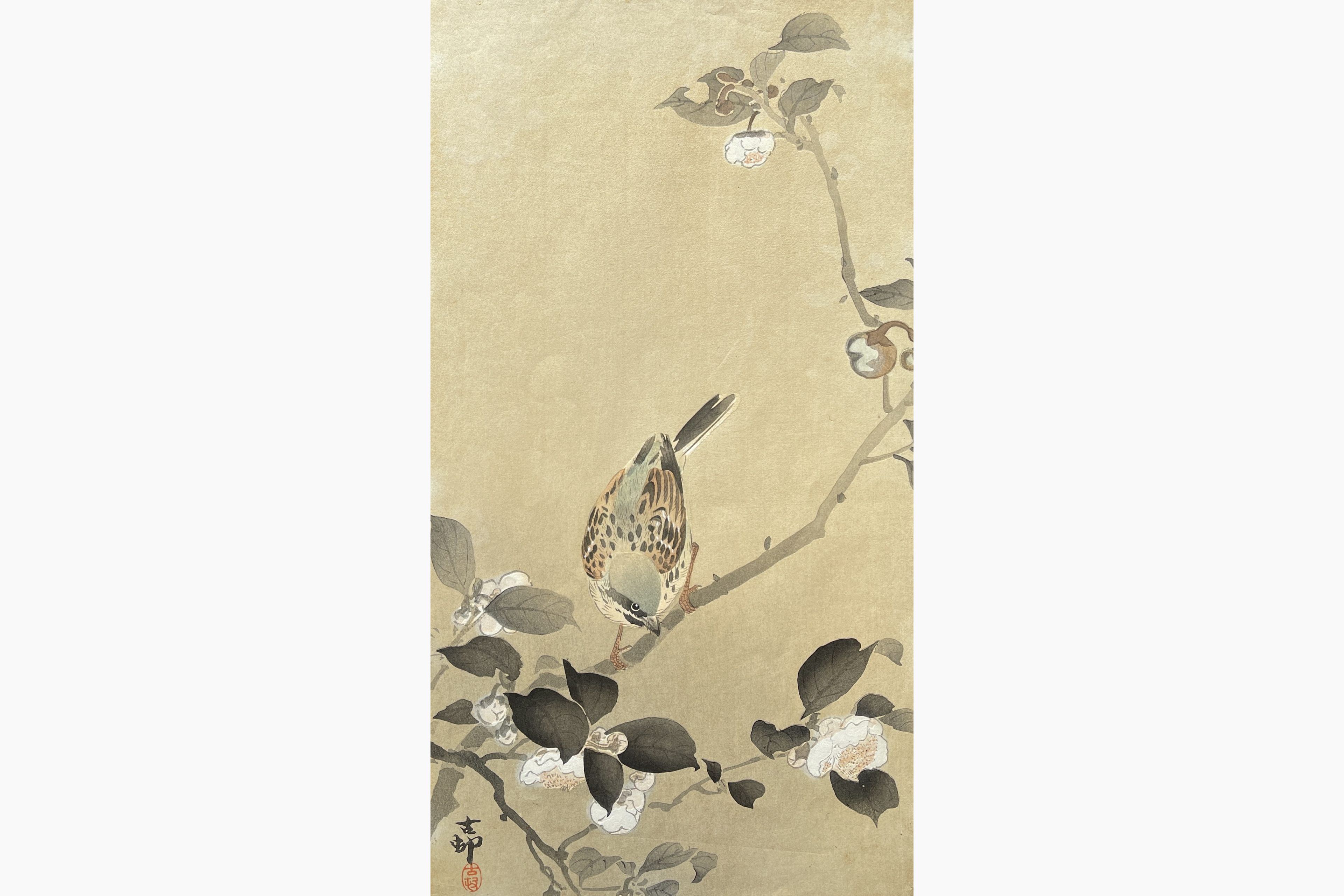 Original woodblock print - Ohara Koson - Bunting Perched on the Branch of a Flowering Plant
