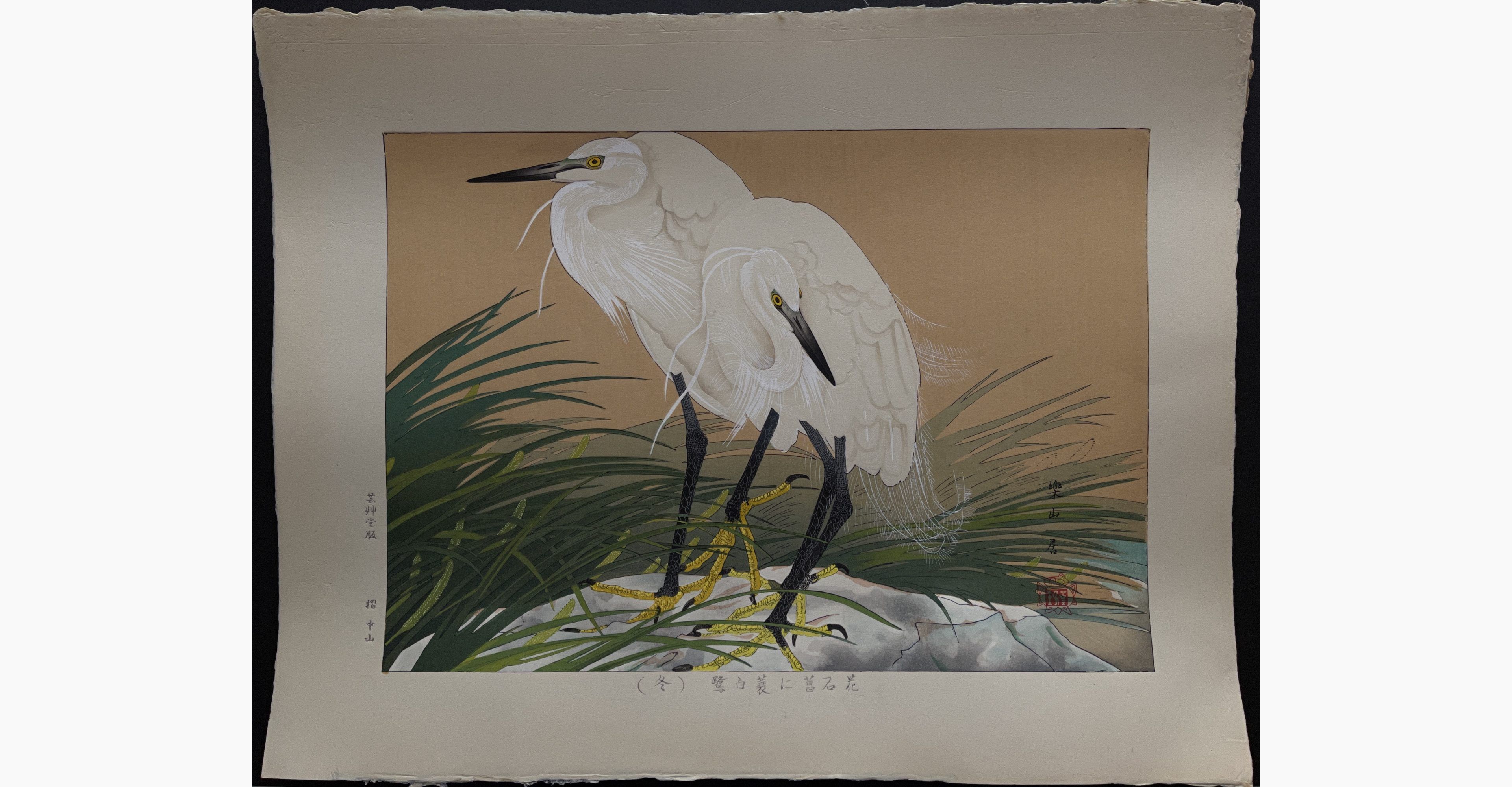 Japanese woodblock print - Rakusan Tsuchiya - Sweet Flag Flowers and Straw-raincloaked Little Egrets (Winter Division)