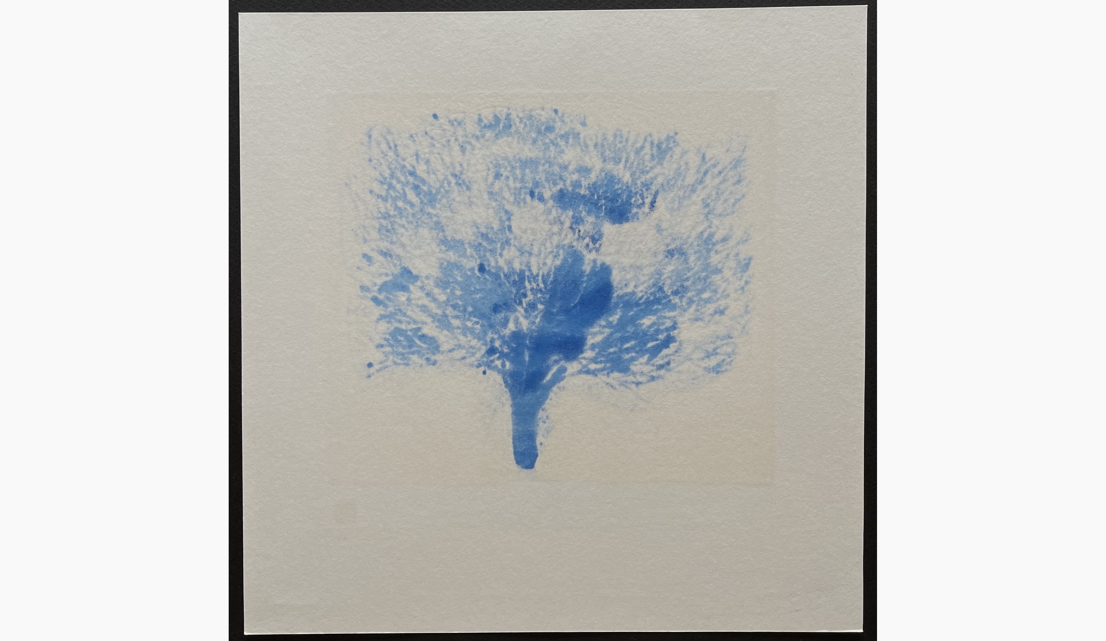 Woodblock print - Kunio Kaneko - In the Morning