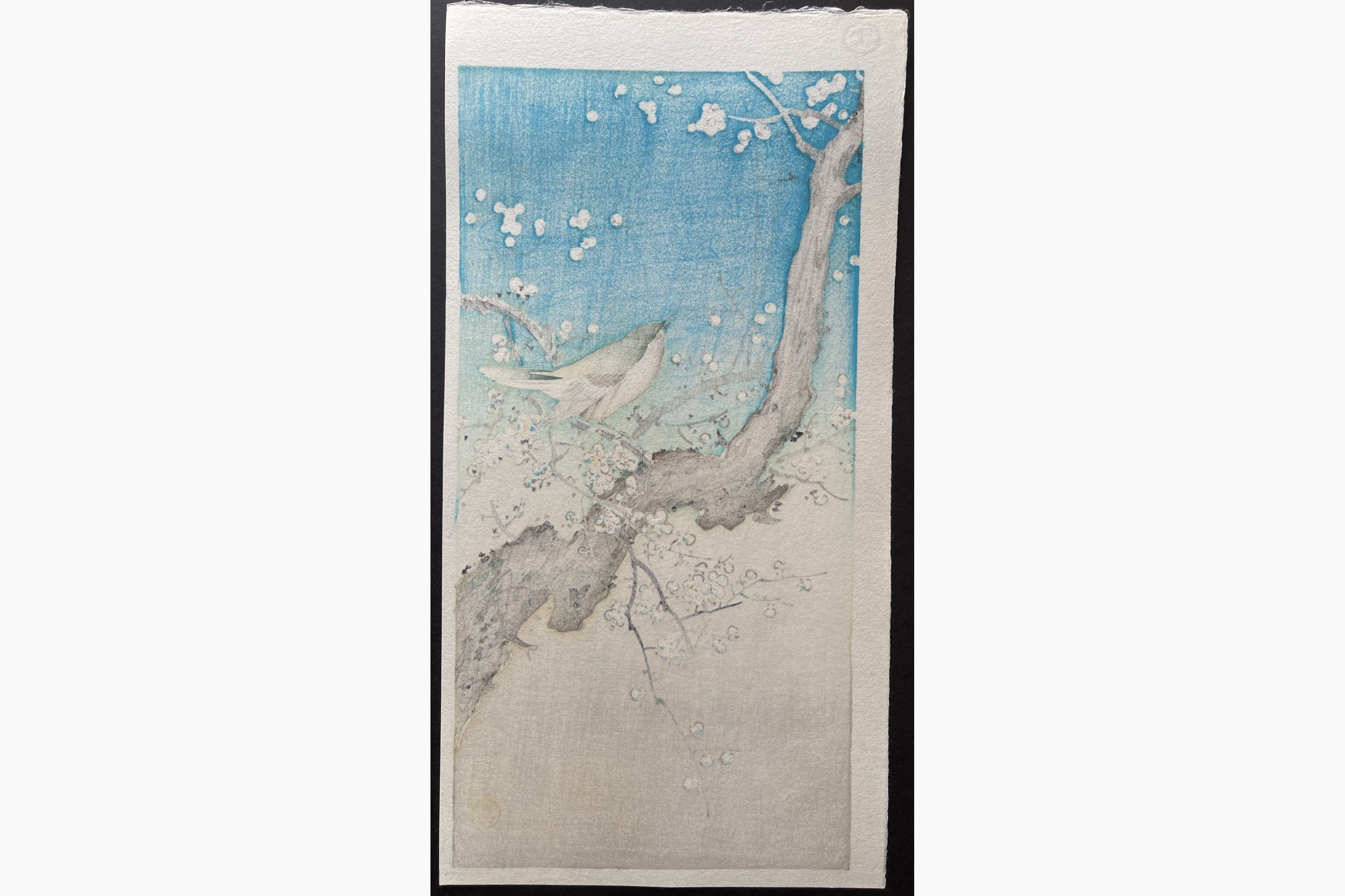 Japanese print - Tsuchiya Koitsu - Bush Warbler (Mitsugiri)