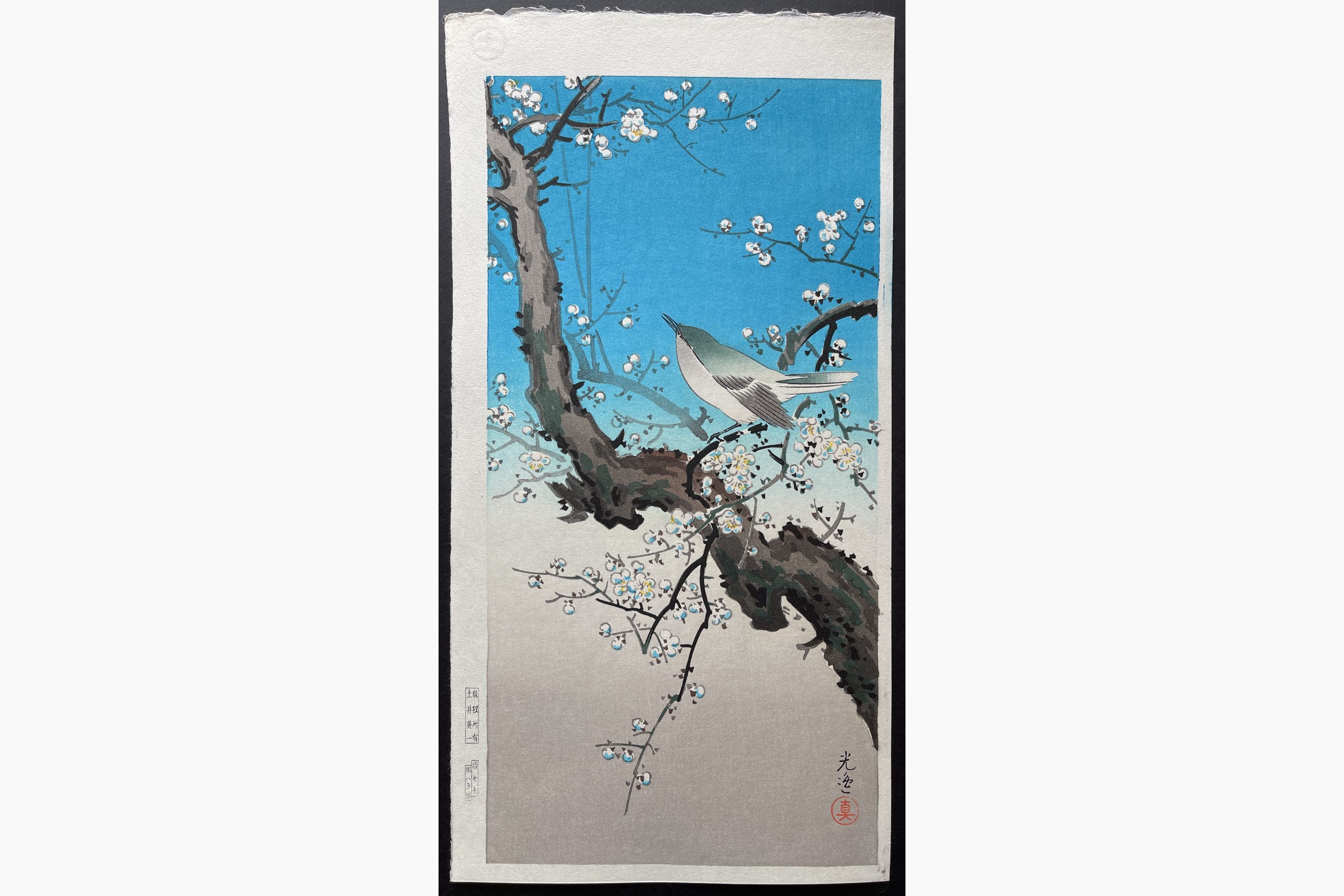 Japanese woodblock print - Tsuchiya Koitsu - Bush Warbler (Mitsugiri)