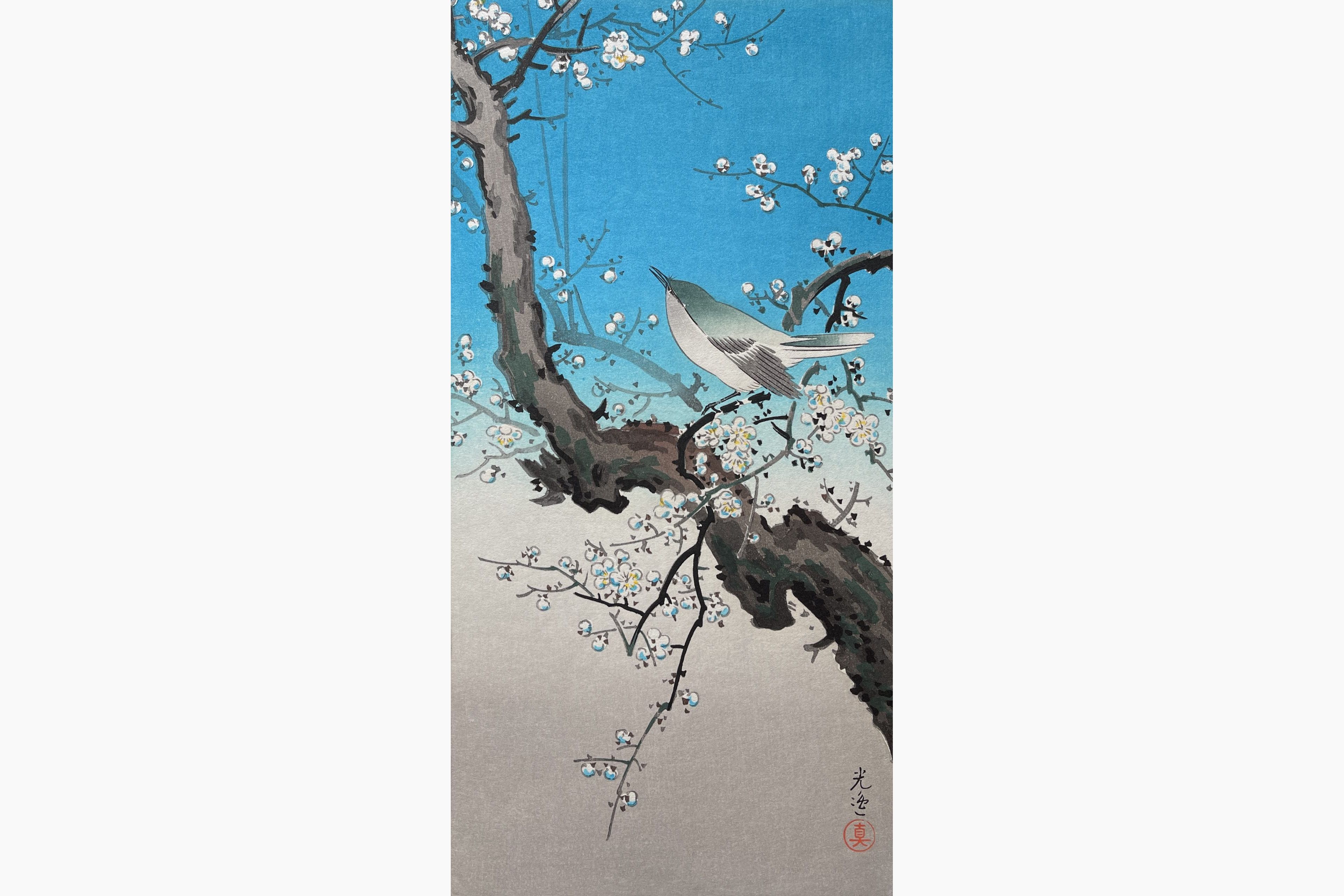Original woodblock print - Tsuchiya Koitsu - Bush Warbler (Mitsugiri)