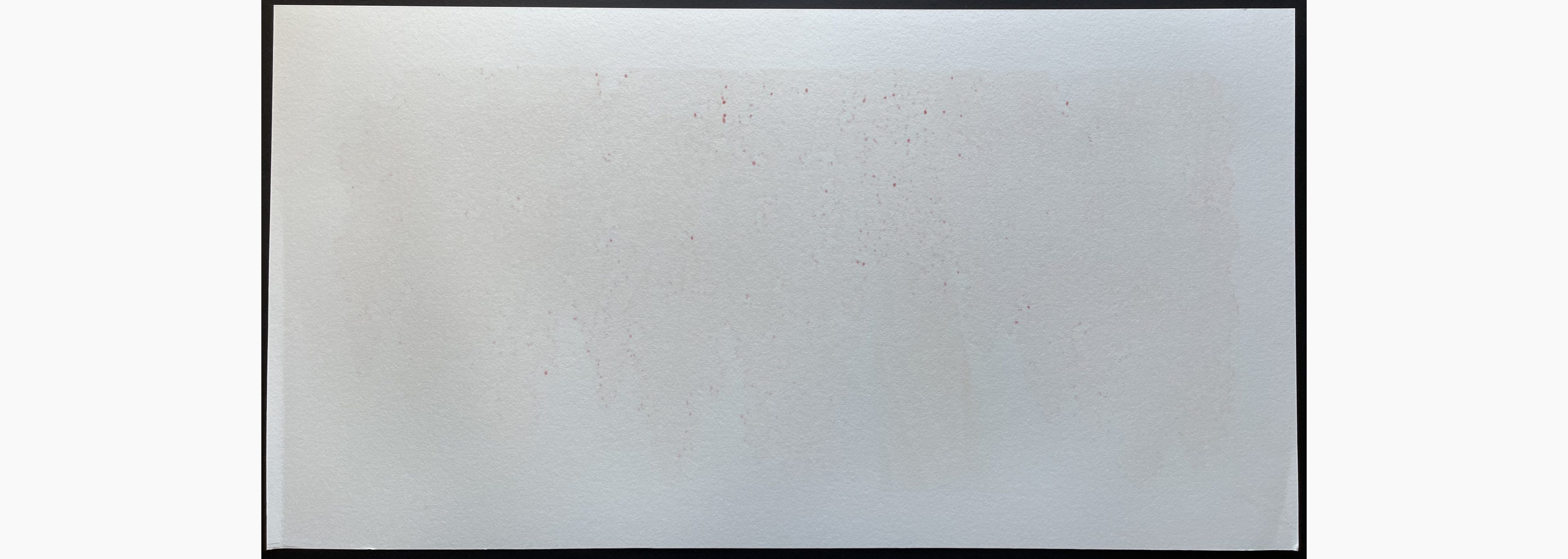 Woodblock print - Hajime Namiki - Weeping Cherry 27