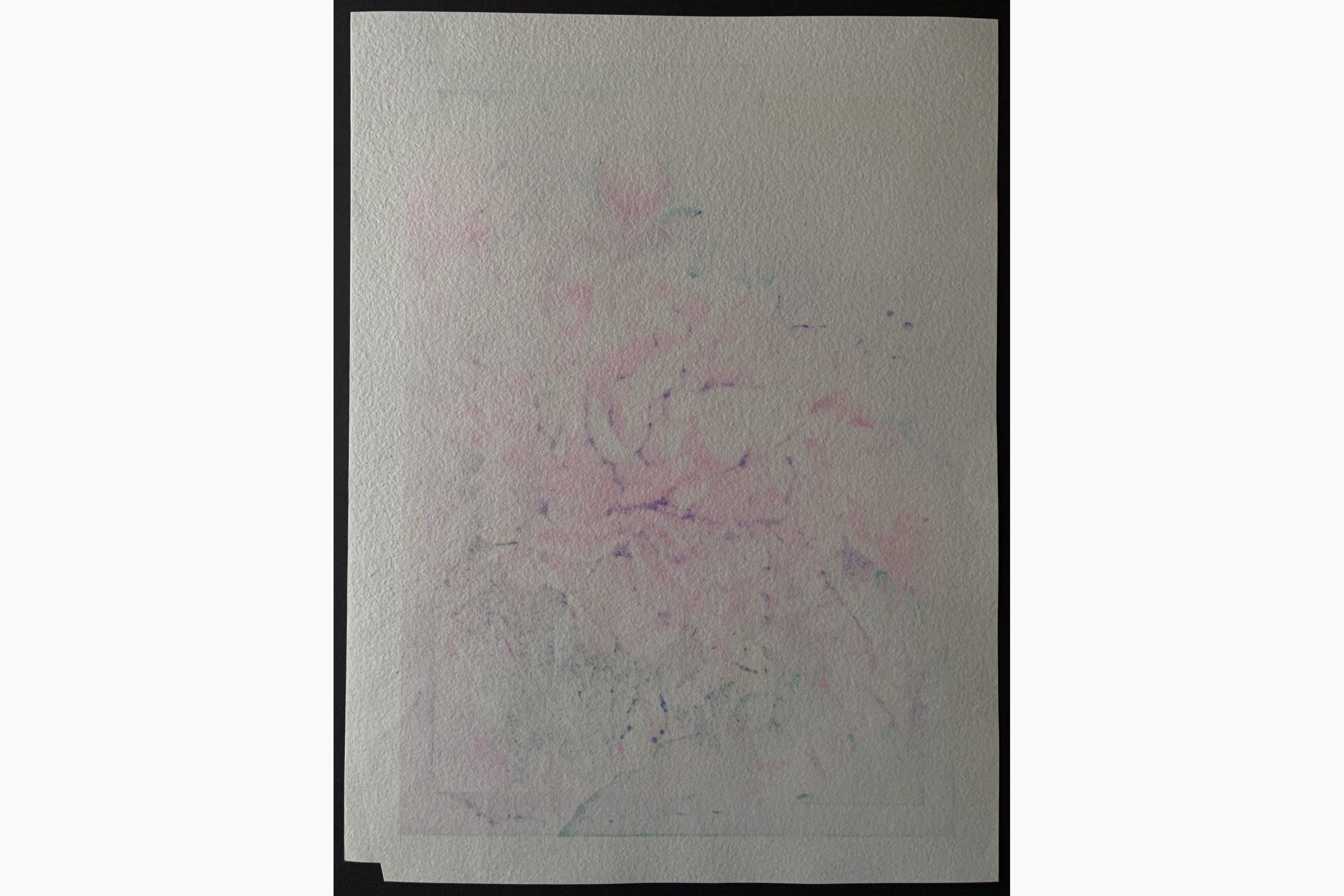 Japanese print - Junichi Mibugawa - Ephemeral Flowers