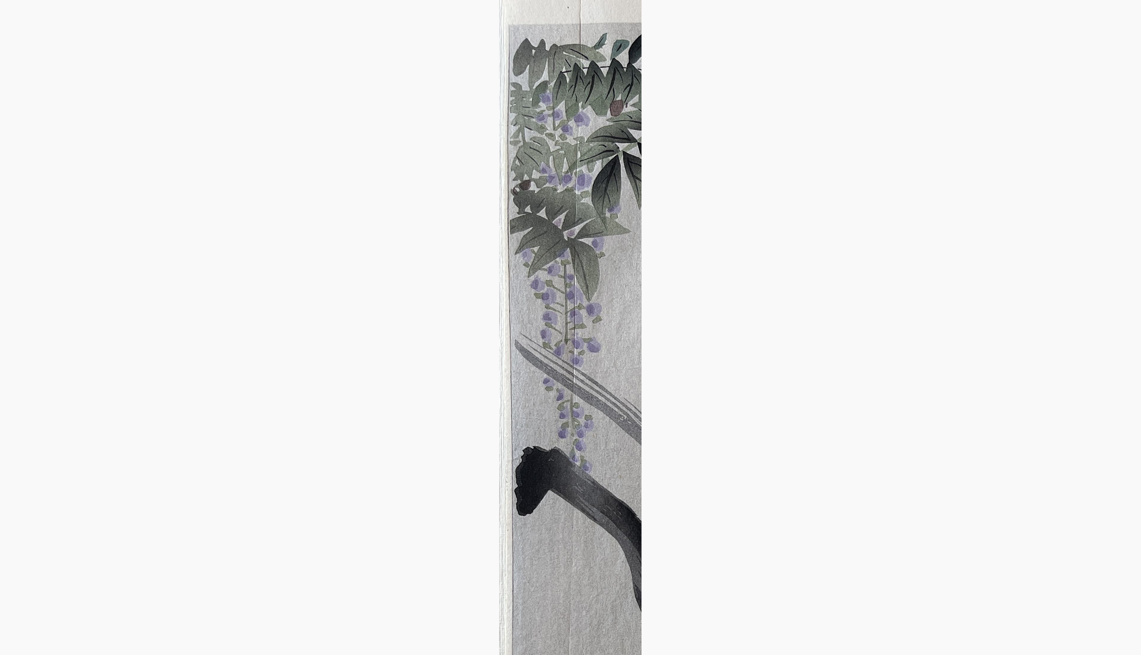 Japanese print - Ohara Koson - Insect next to Flowering Wisteria
