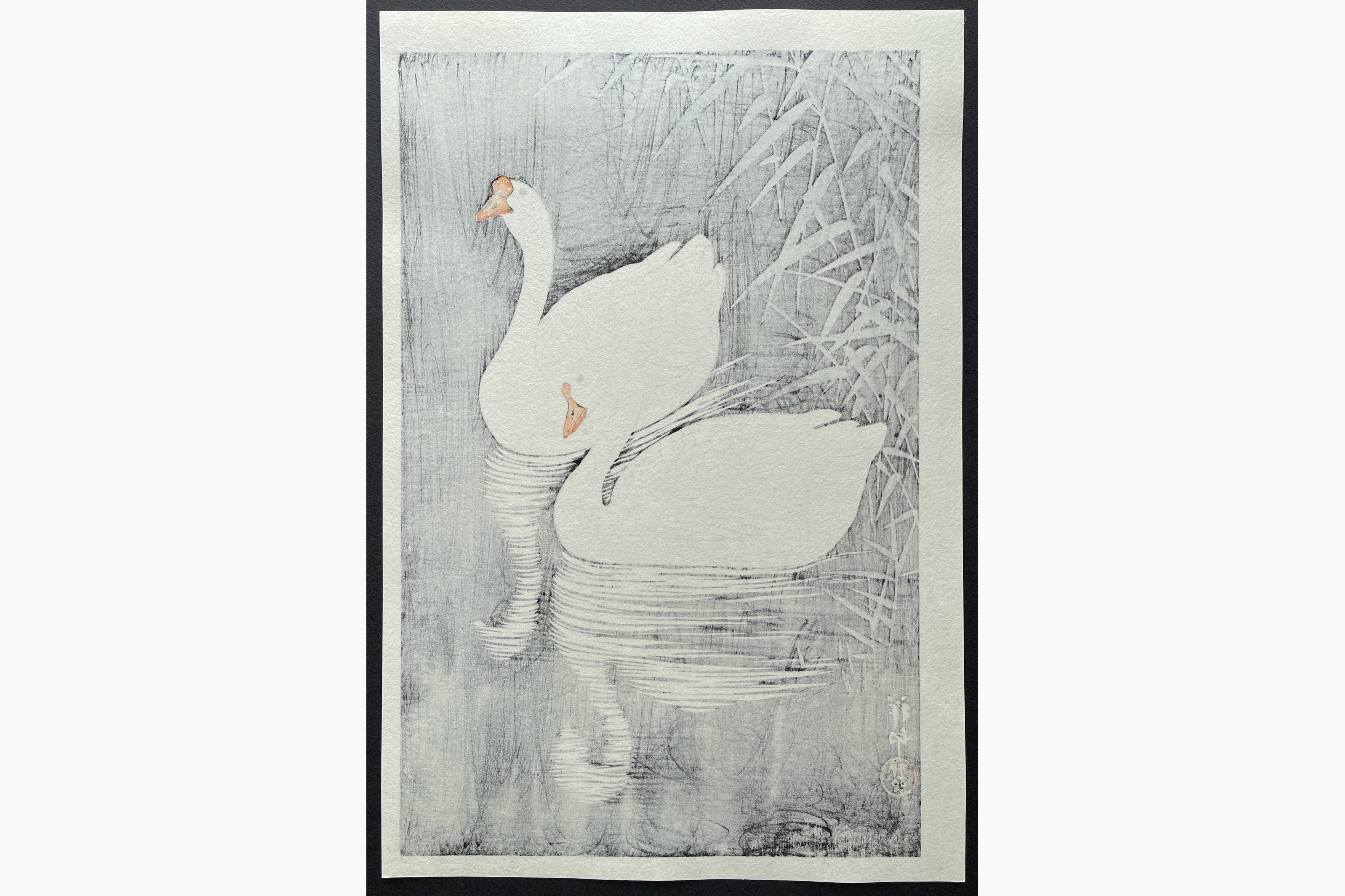 Japanese print - Ohara Koson - Two Geese Swimming near Reeds