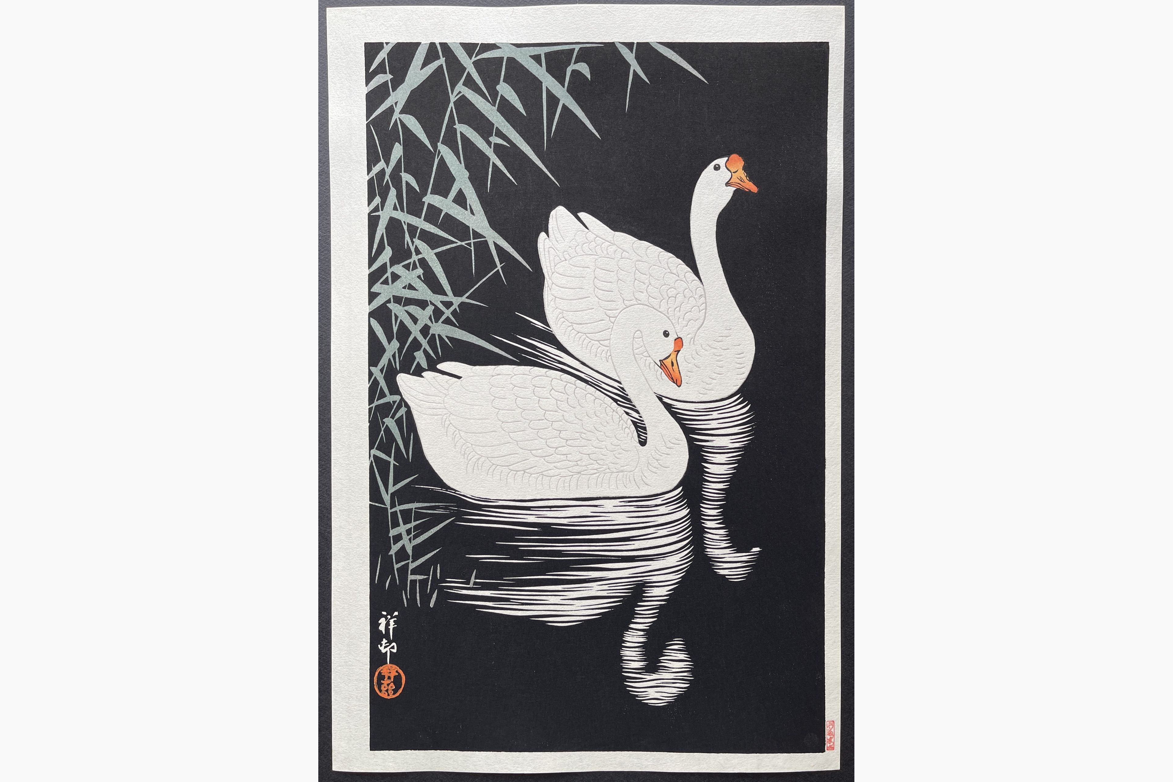 Japanese woodblock print - Ohara Koson - Two Geese Swimming near Reeds