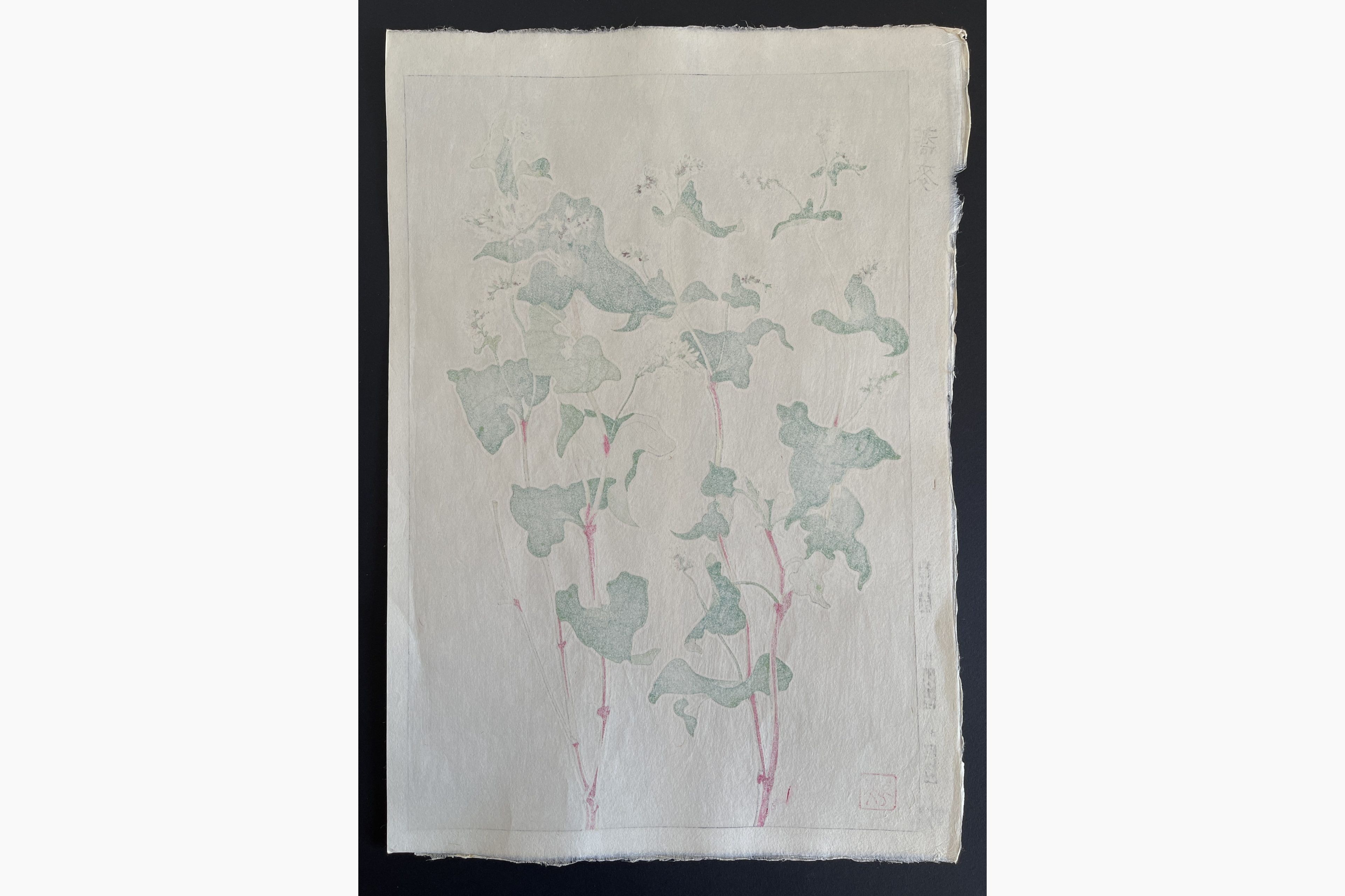 Japanese print - Kawarazaki Shodo - Buckwheat
