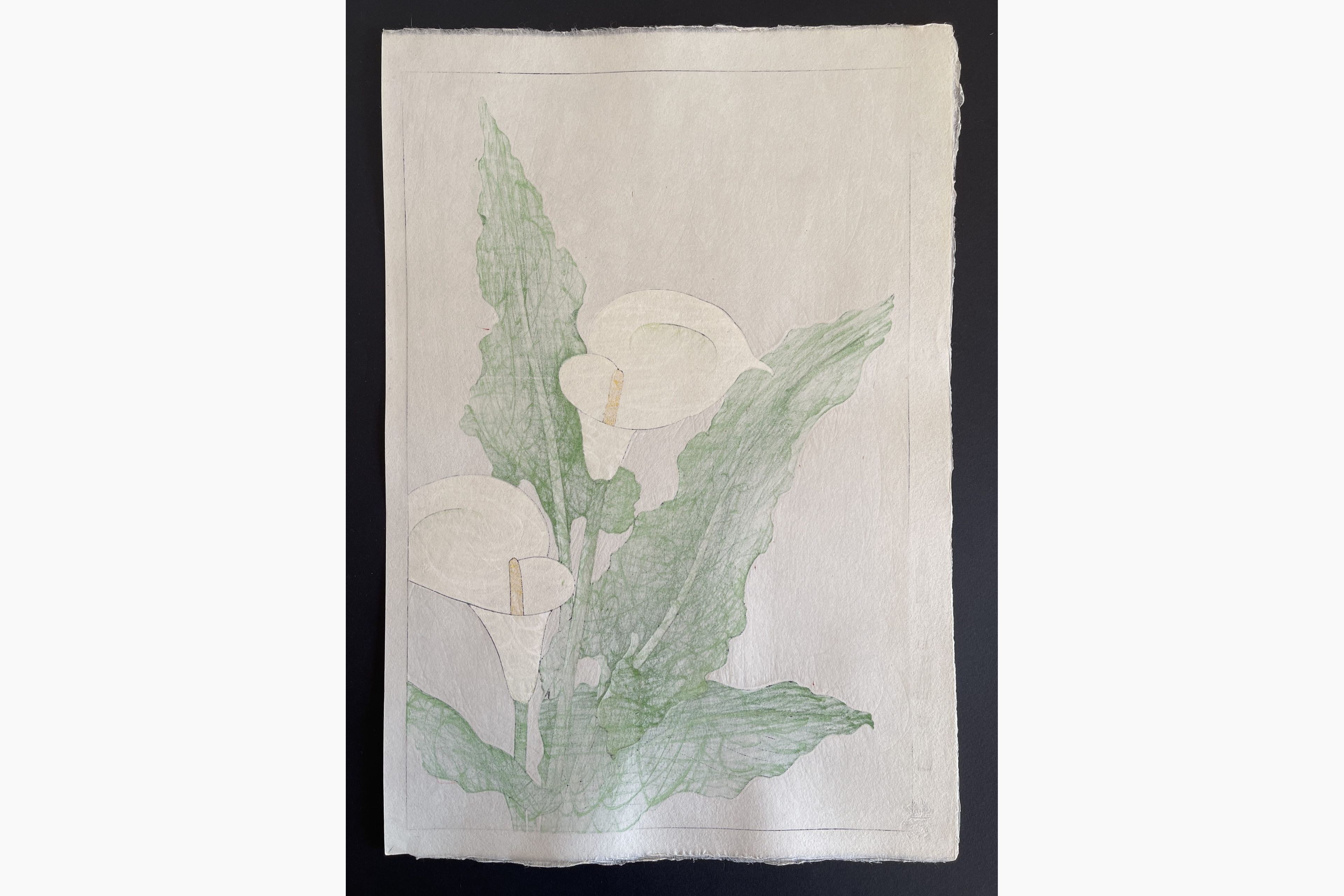 Japanese print - Kawarazaki Shodo - Calla lily