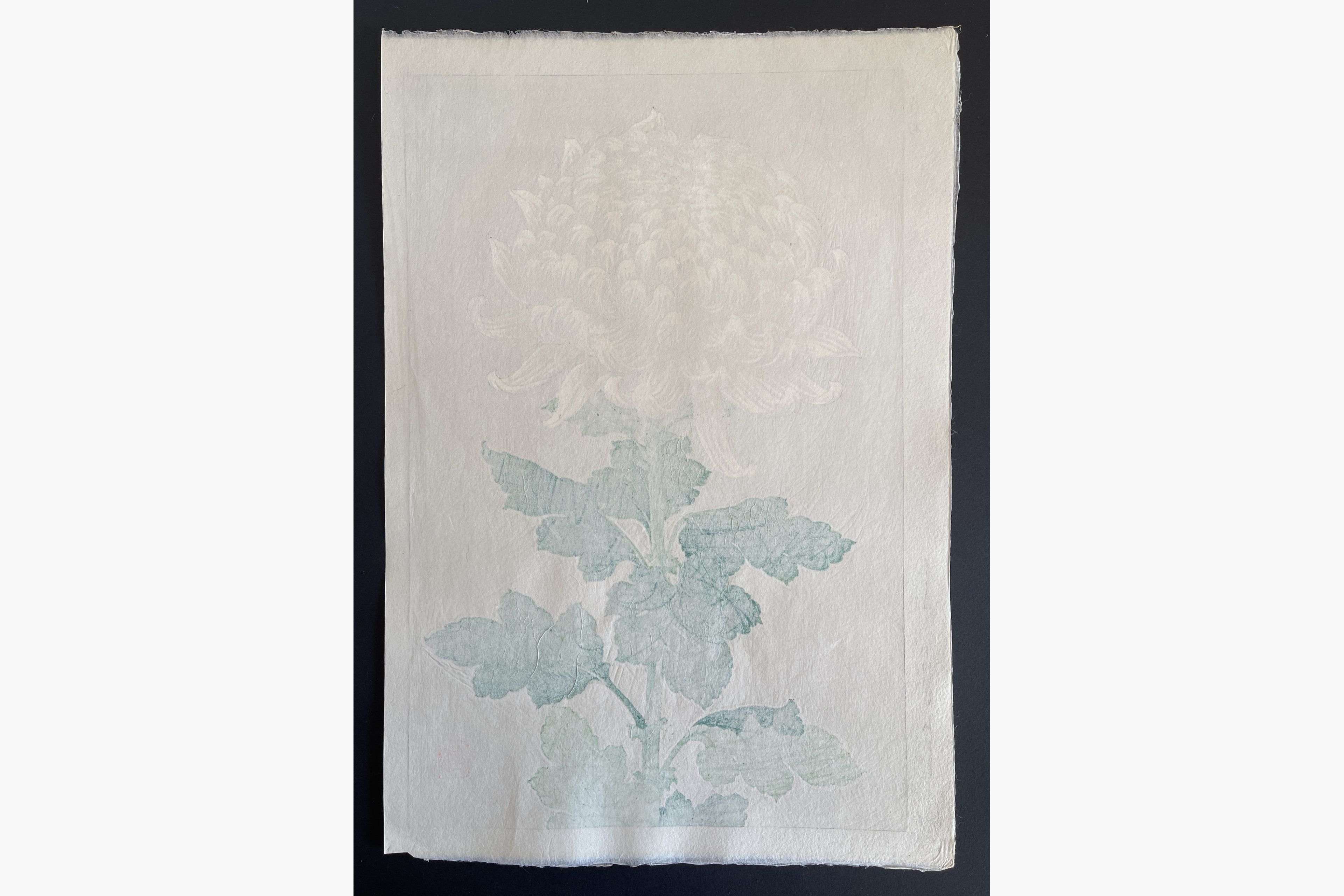 Japanese print - Kawarazaki Shodo - Chrysanthemum