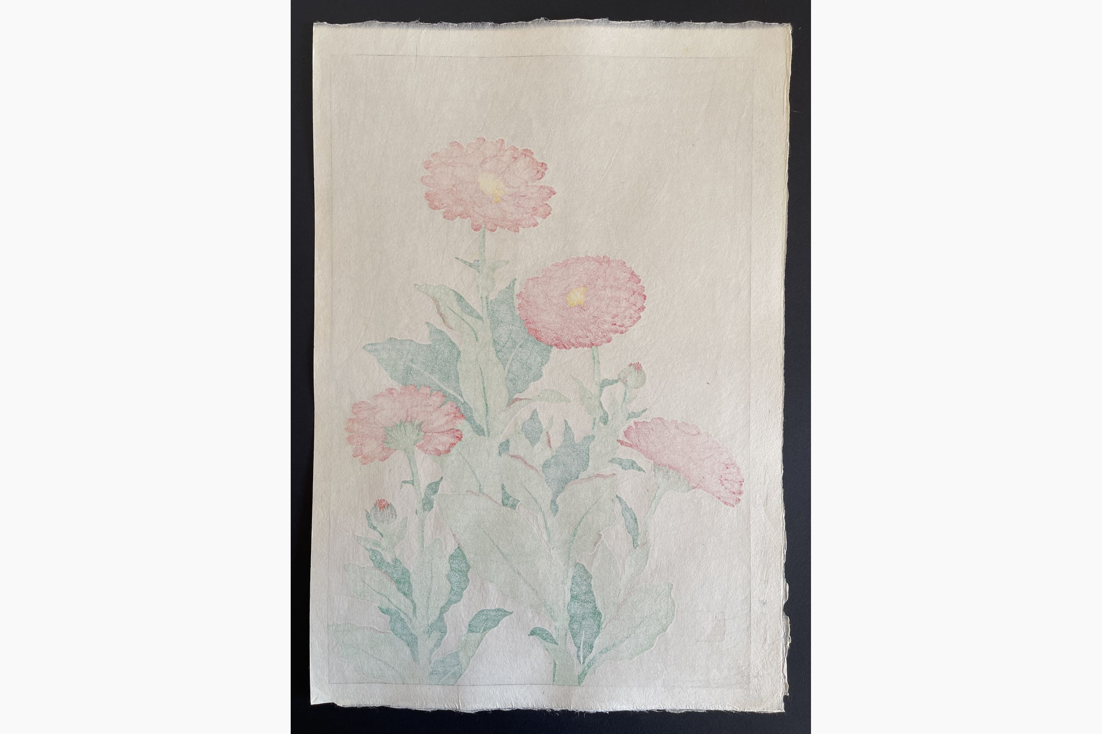 Japanese print - Kawarazaki Shodo - Common Marigold