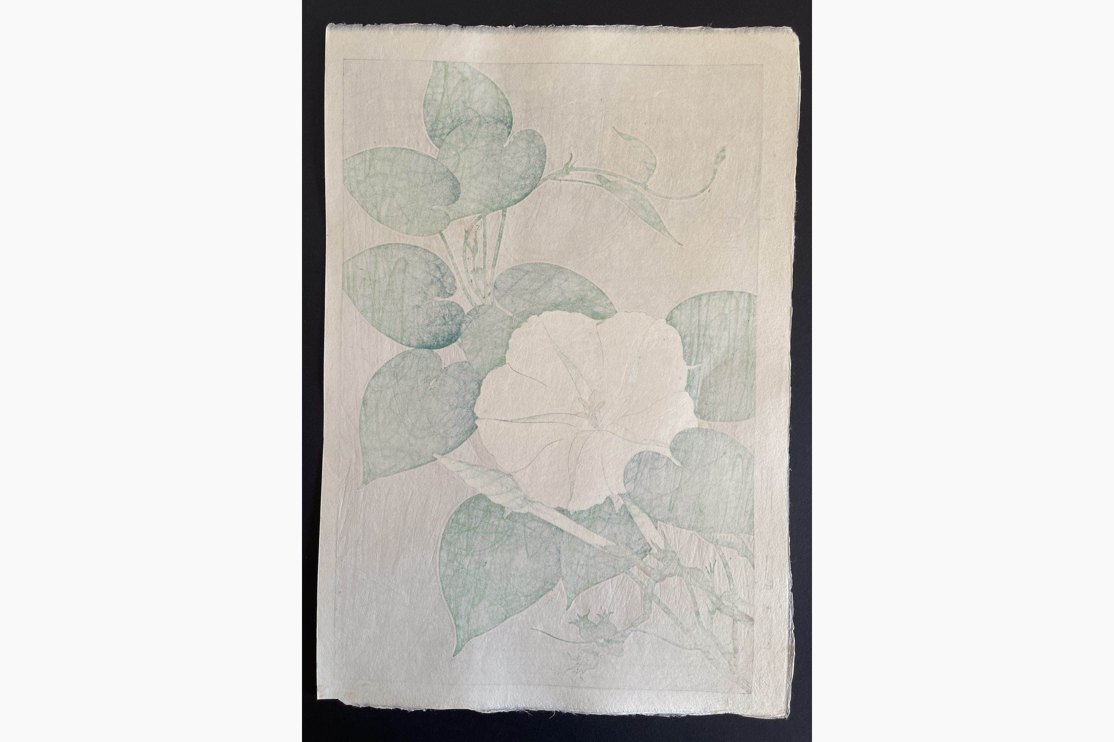 Japanese print - Kawarazaki Shodo - Evening Glory