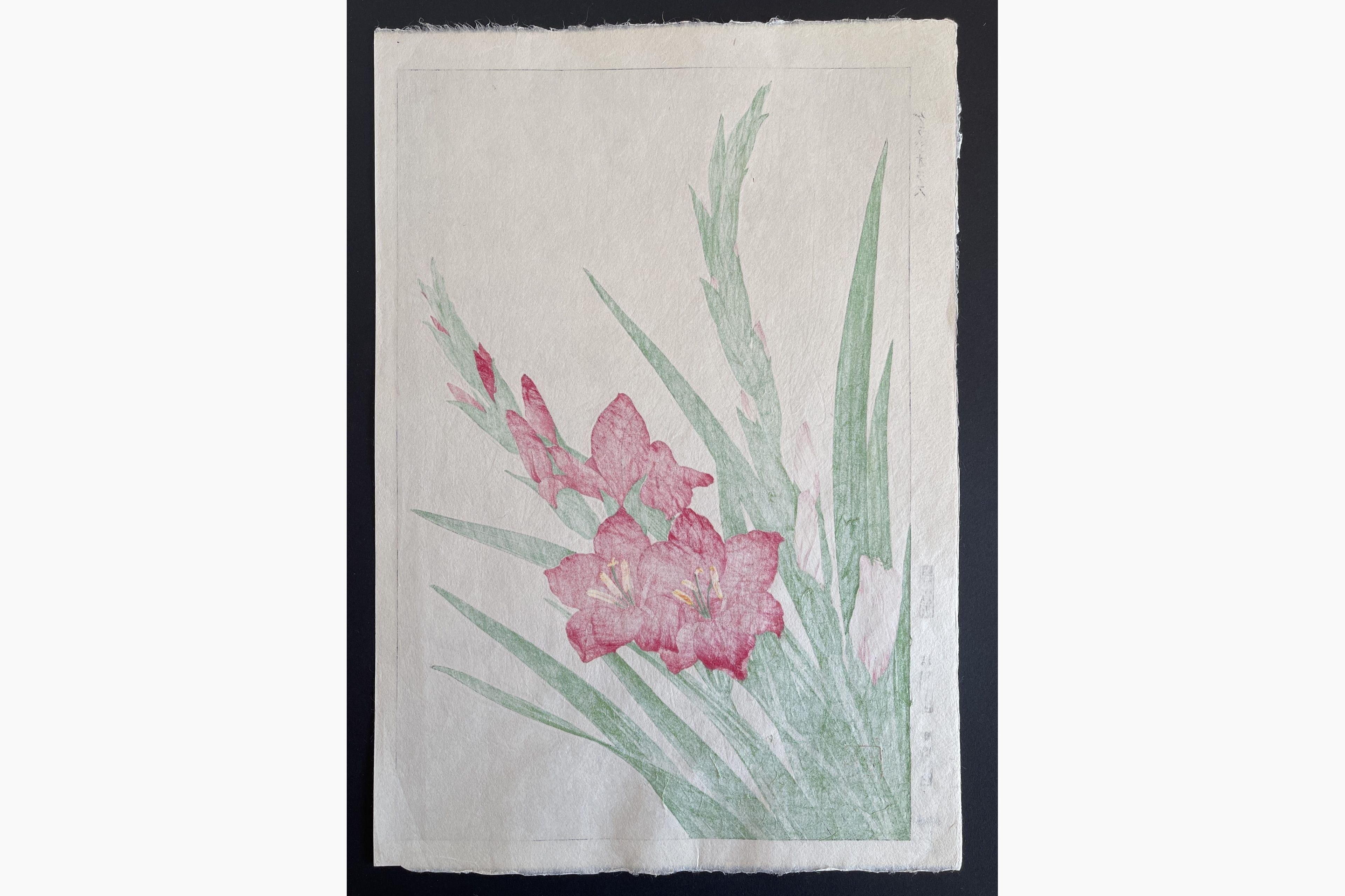 Japanese print - Kawarazaki Shodo - Gladiolous