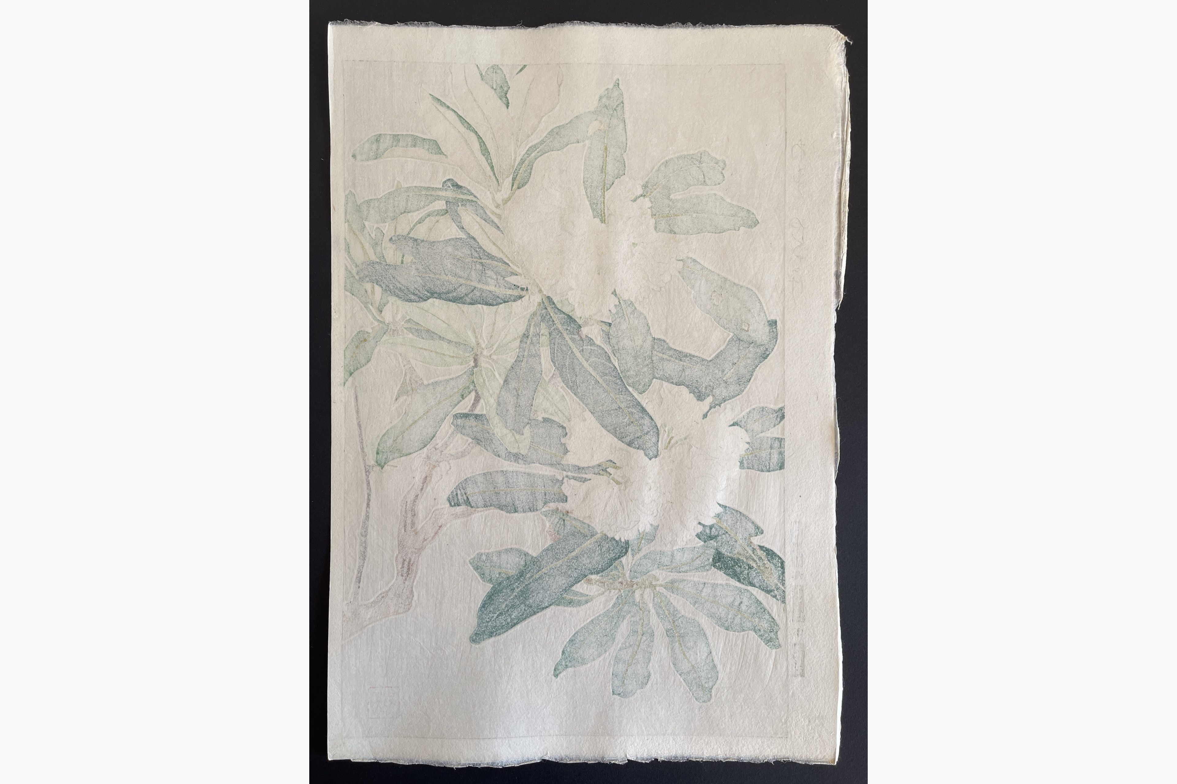 Japanese print - Kawarazaki Shodo - Rhododendron