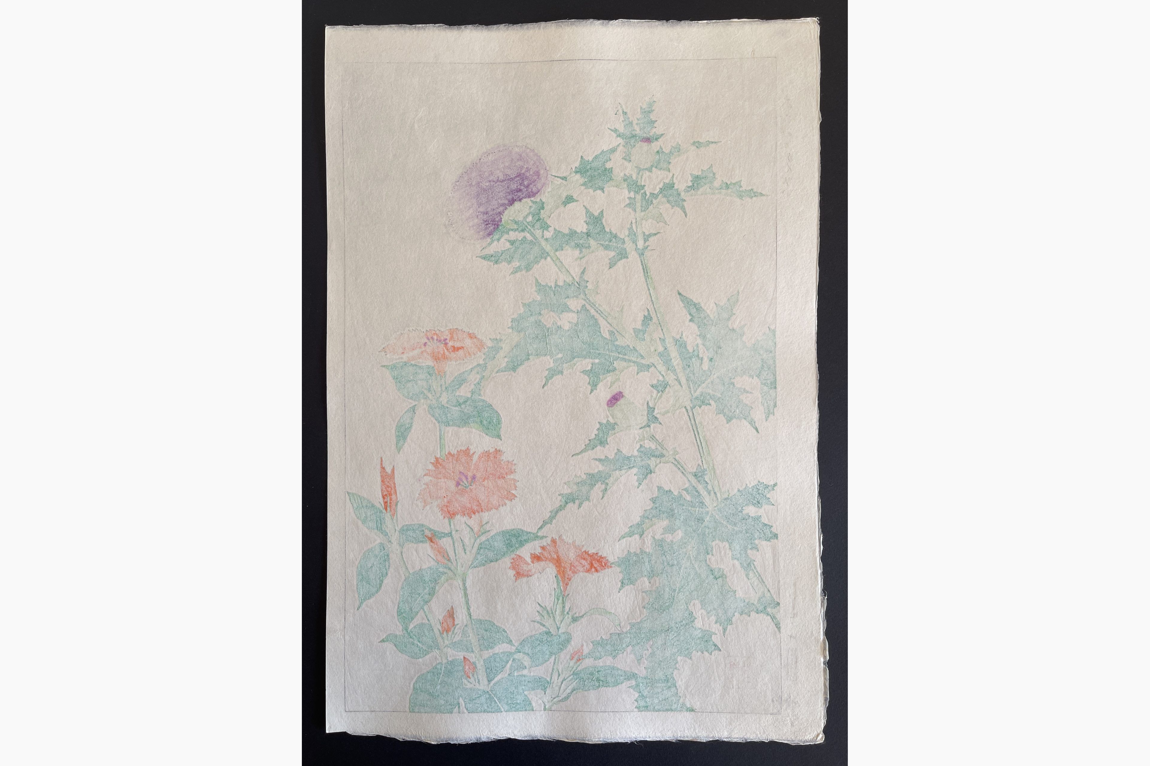 Japanese print - Kawarazaki Shodo - Thistle