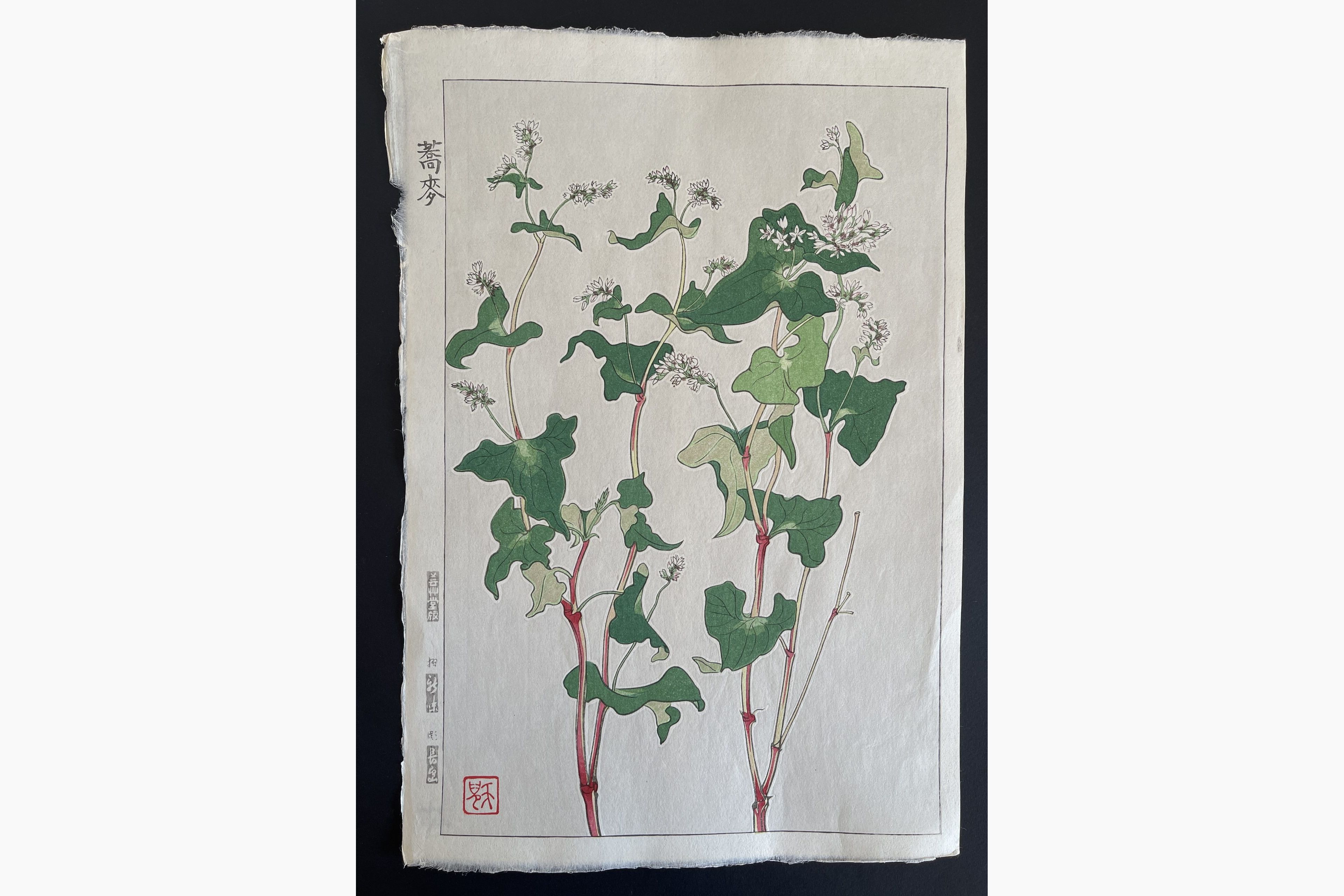 Japanese woodblock print - Kawarazaki Shodo - Buckwheat