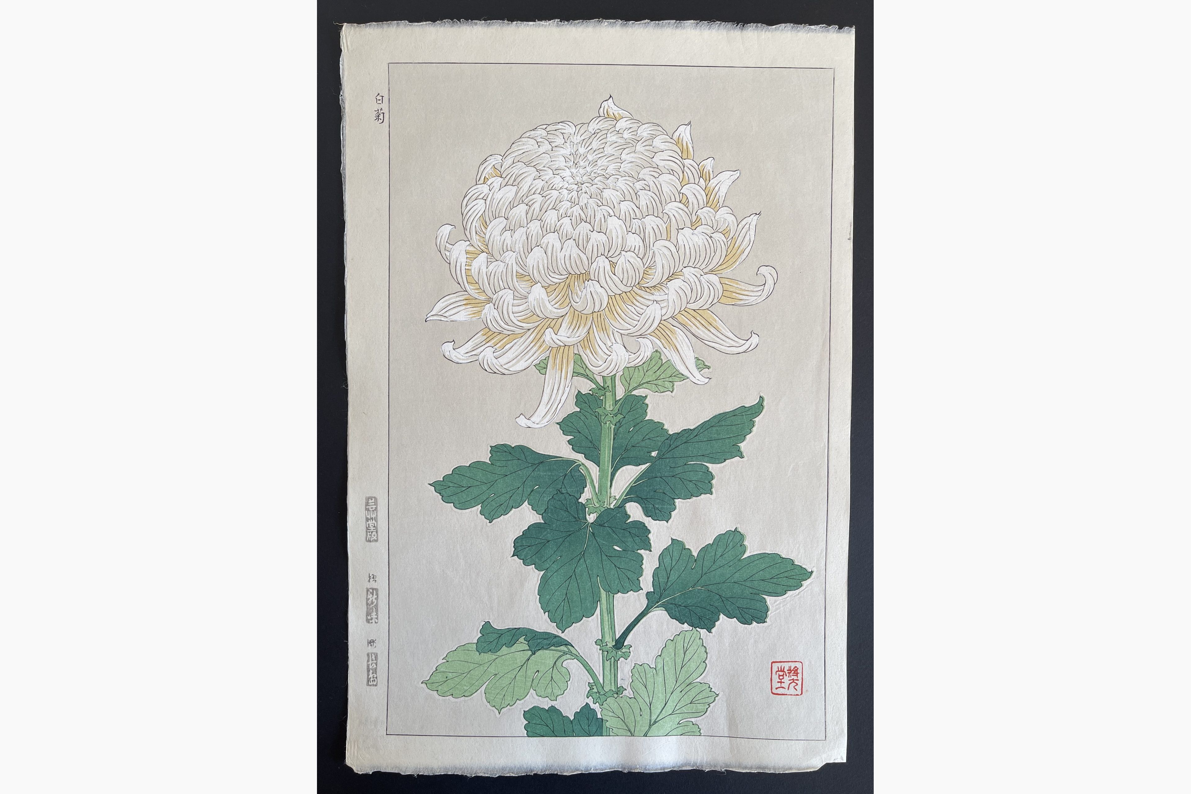 Japanese woodblock print - Kawarazaki Shodo - Chrysanthemum