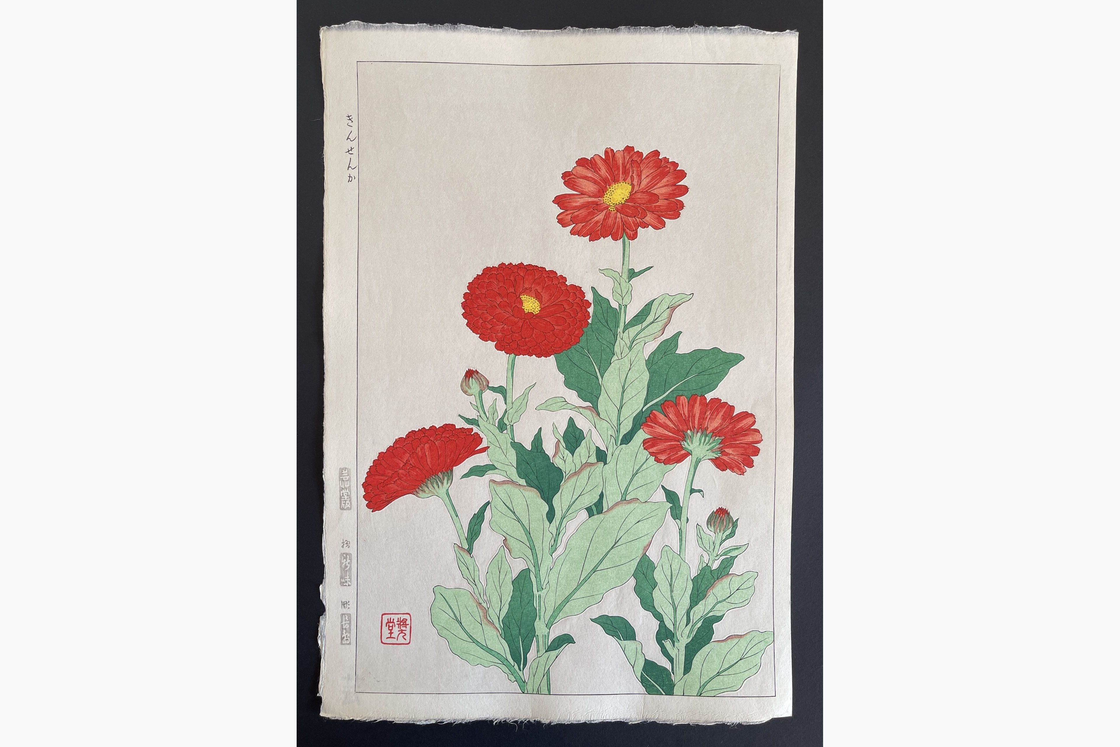 Japanese woodblock print - Kawarazaki Shodo - Common Marigold