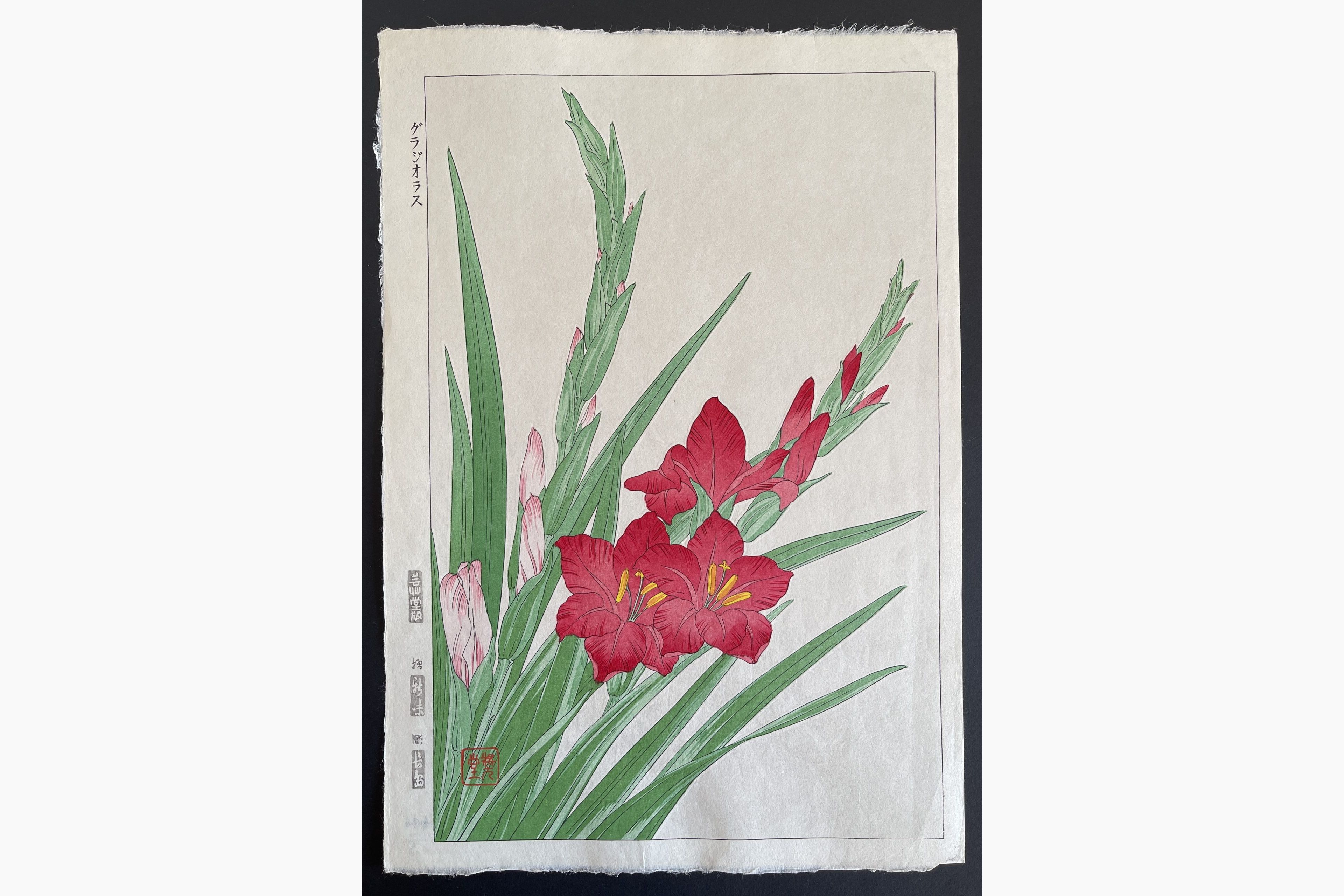 Japanese woodblock print - Kawarazaki Shodo - Gladiolous