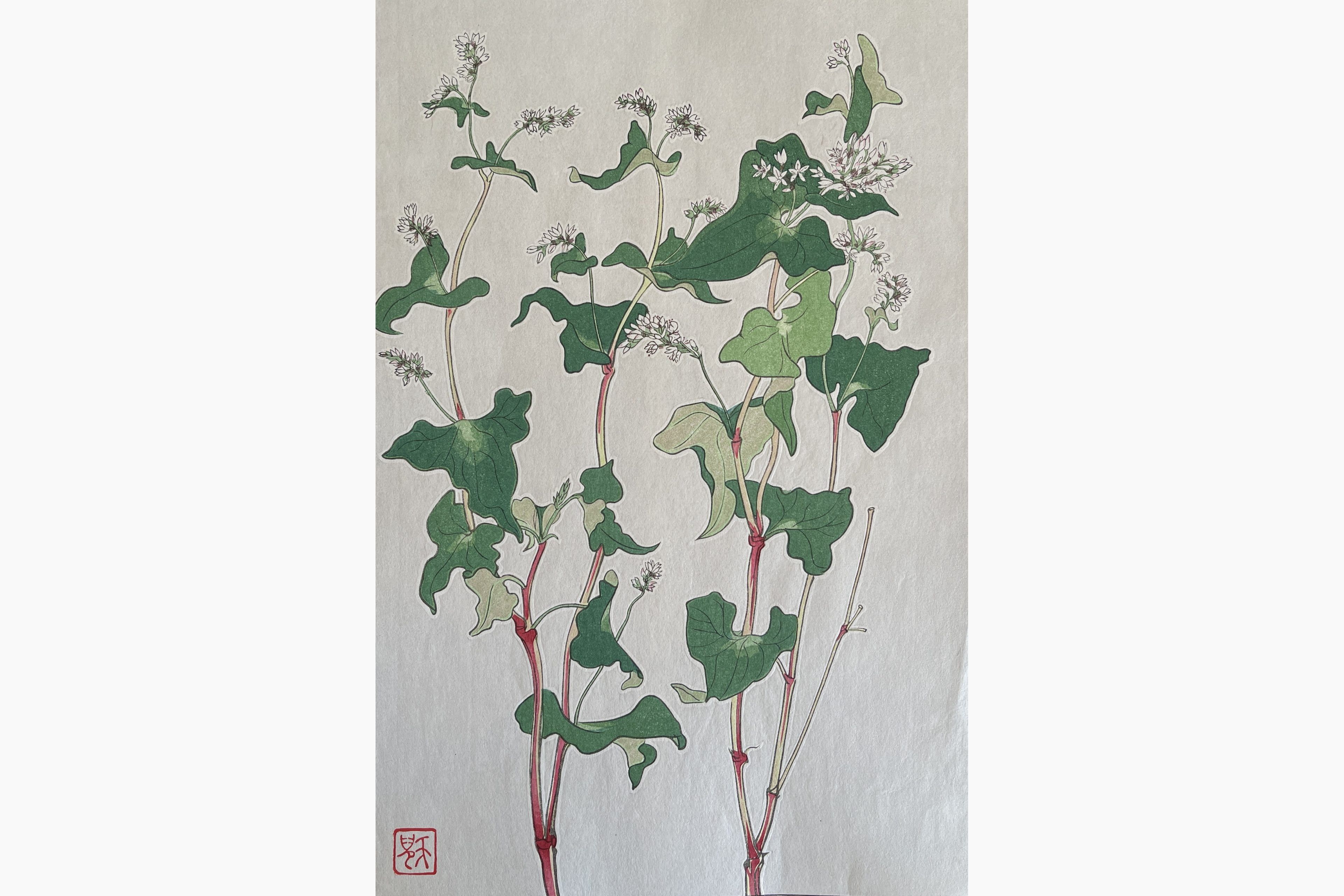 Original woodblock print - Kawarazaki Shodo - Buckwheat
