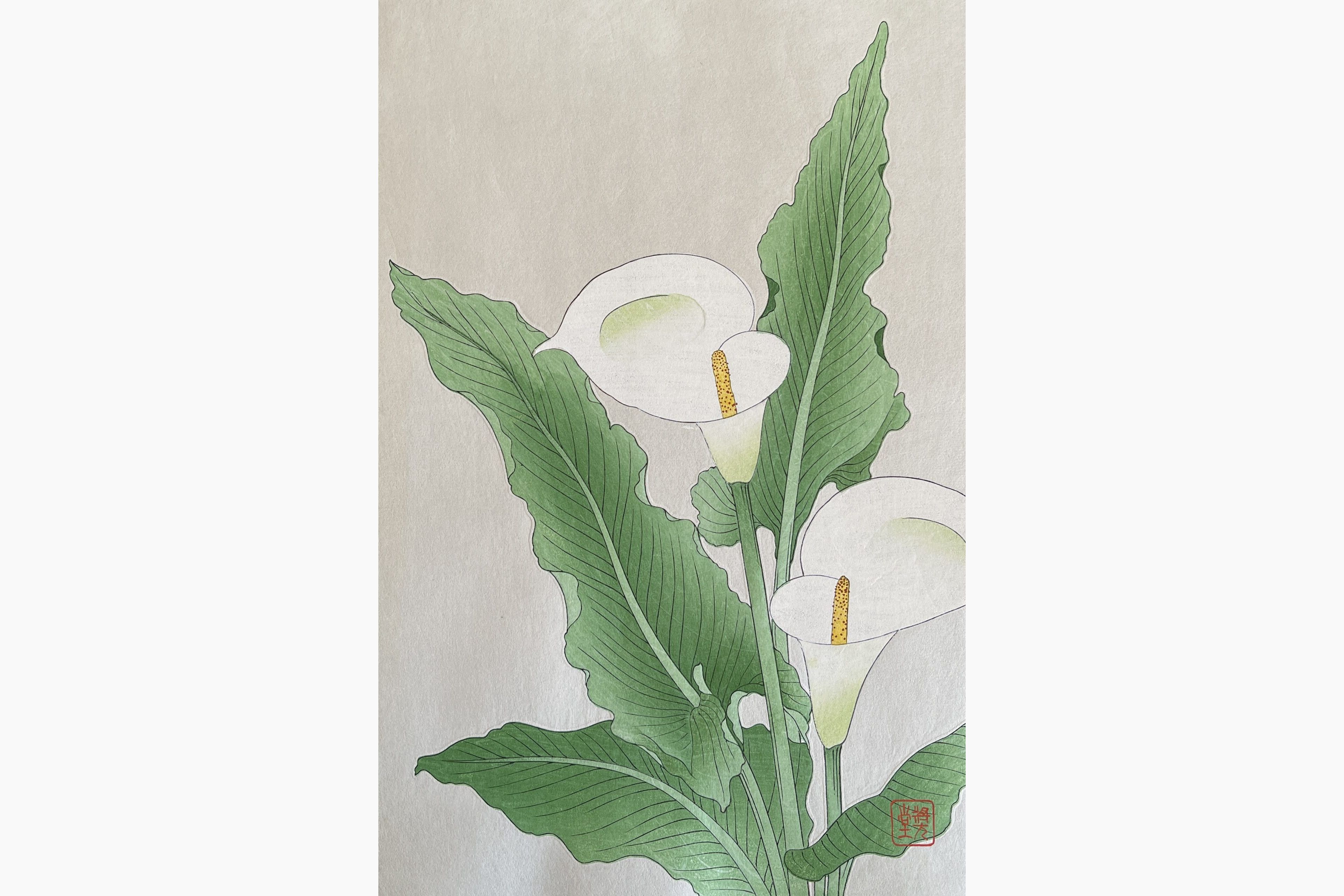 Original woodblock print - Kawarazaki Shodo - Calla lily