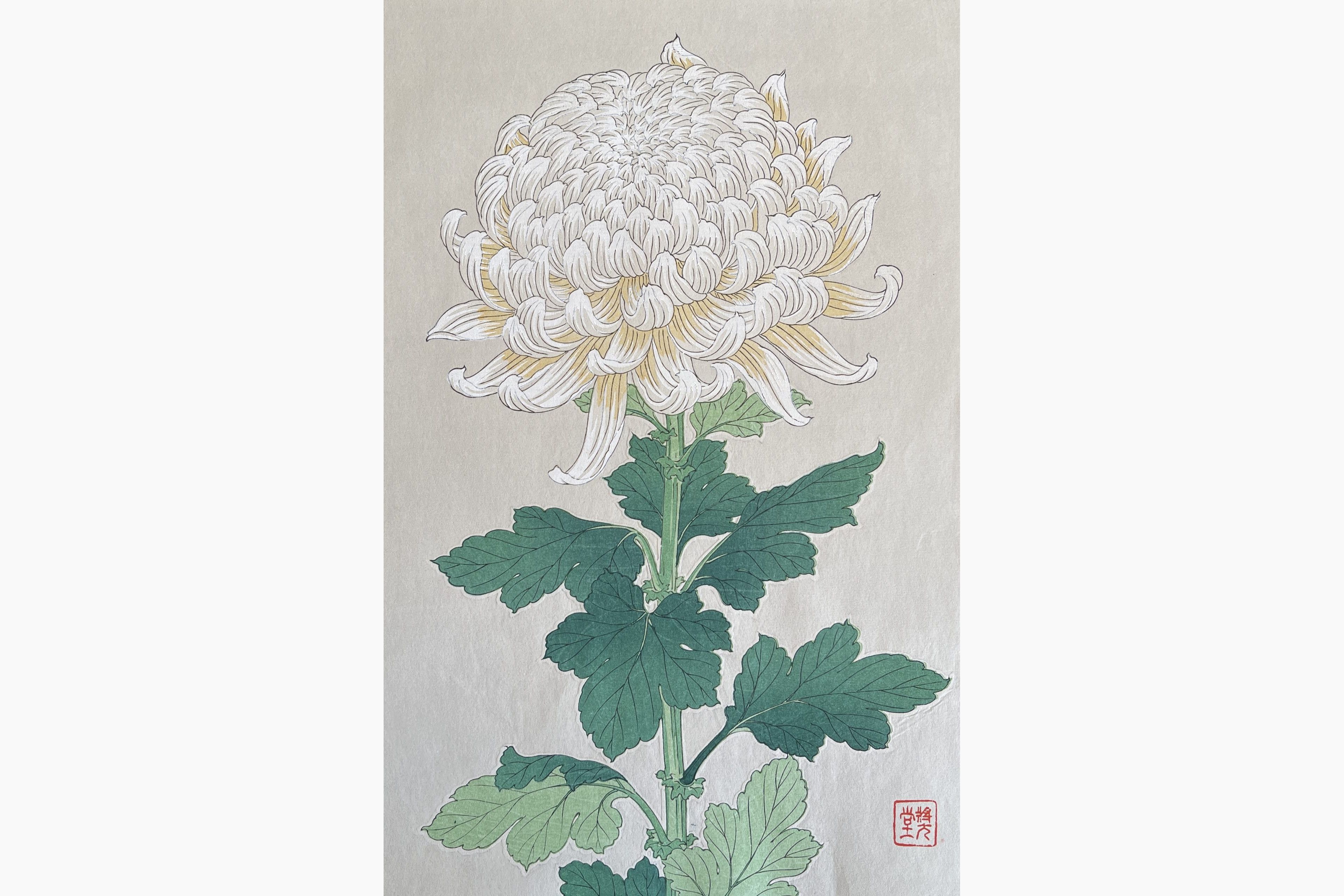 Original woodblock print - Kawarazaki Shodo - Chrysanthemum