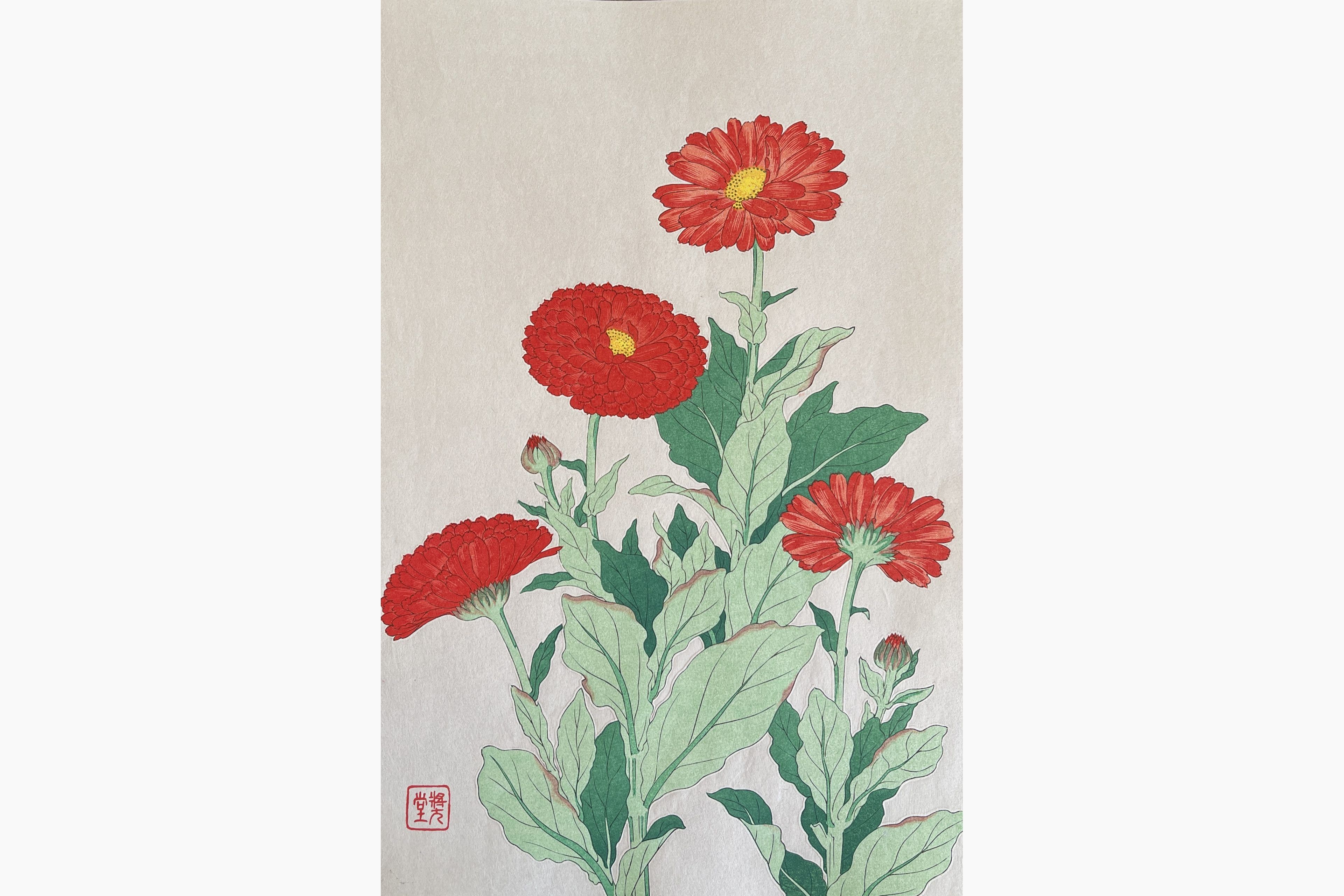 Original woodblock print - Kawarazaki Shodo - Common Marigold