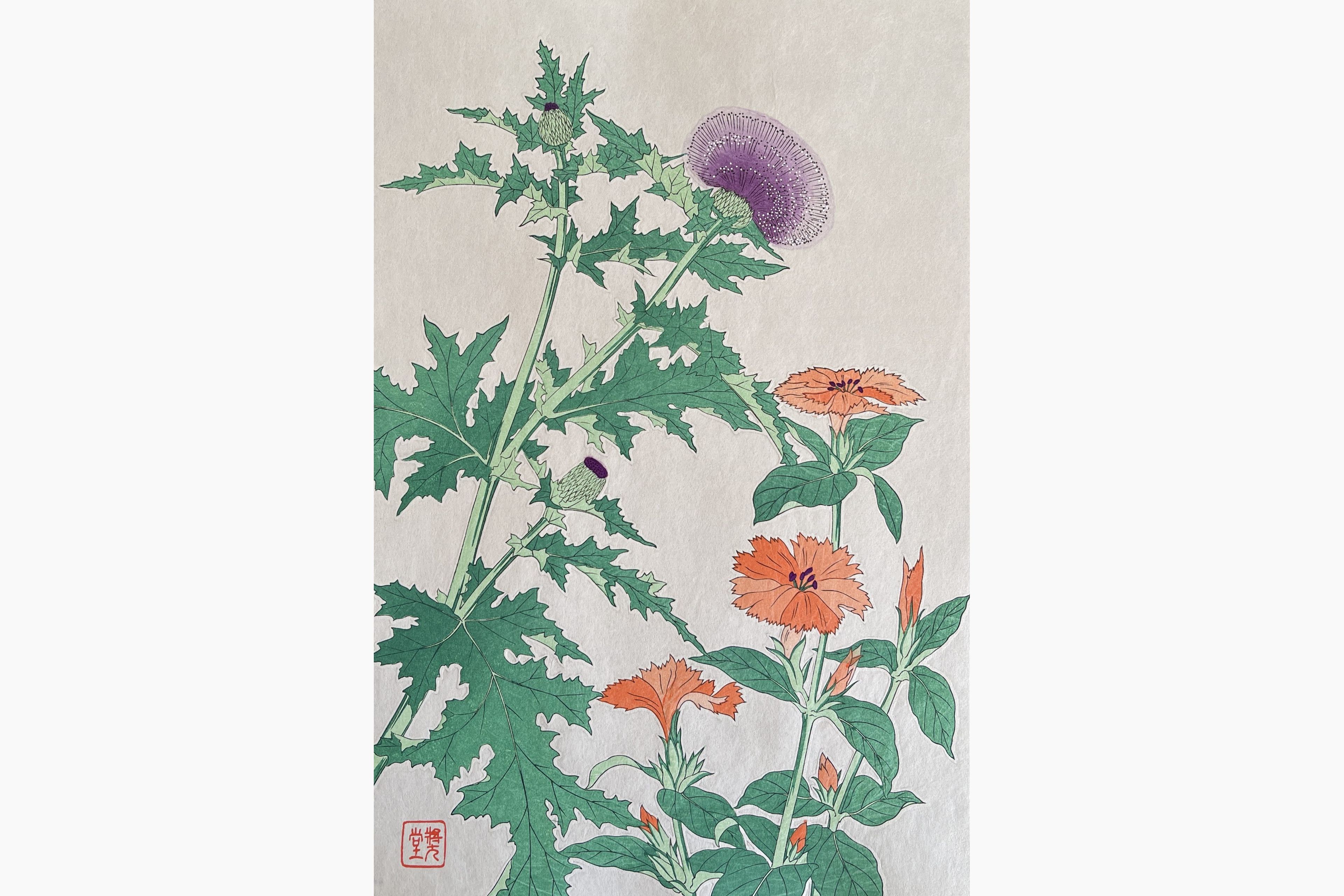 Original woodblock print - Kawarazaki Shodo - Thistle