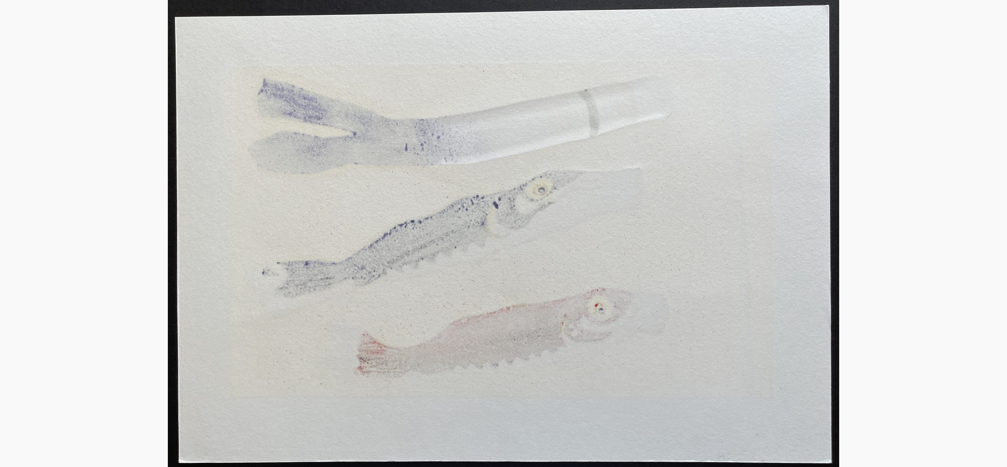 Woodblock print - Kunio Kaneko - Go Go Koinobori 2020 (Ai)