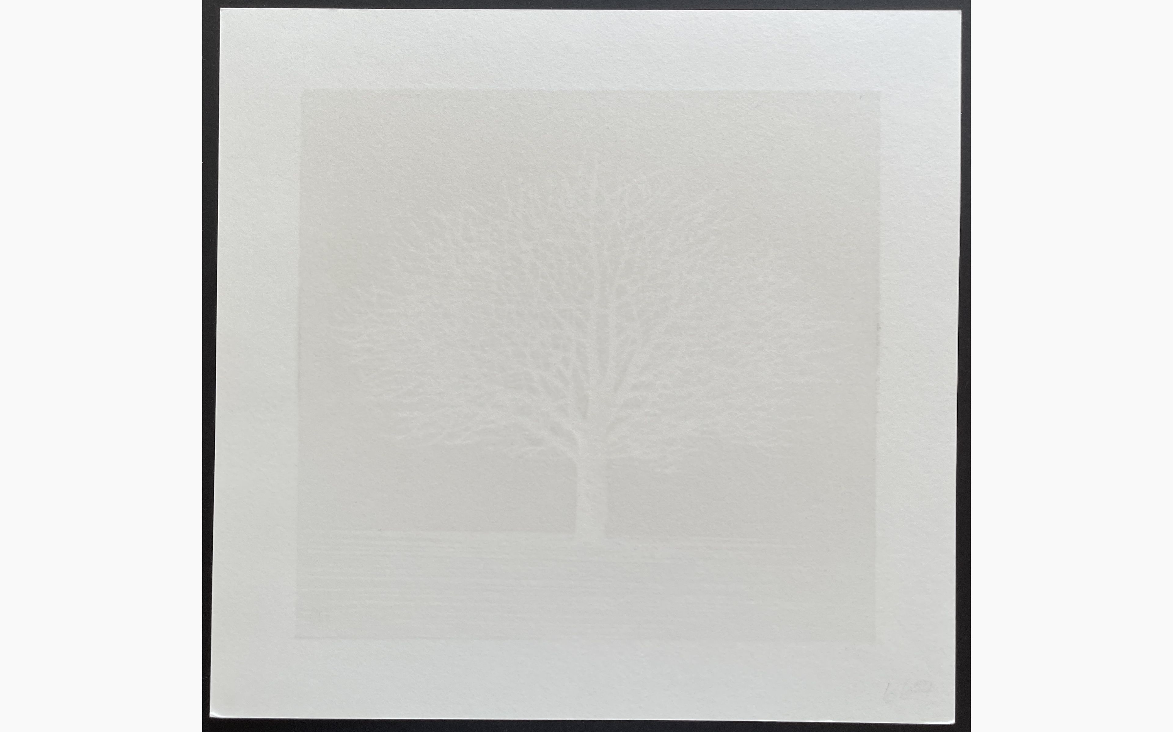 Woodblock print - Kunio Kaneko - White White Tree 2