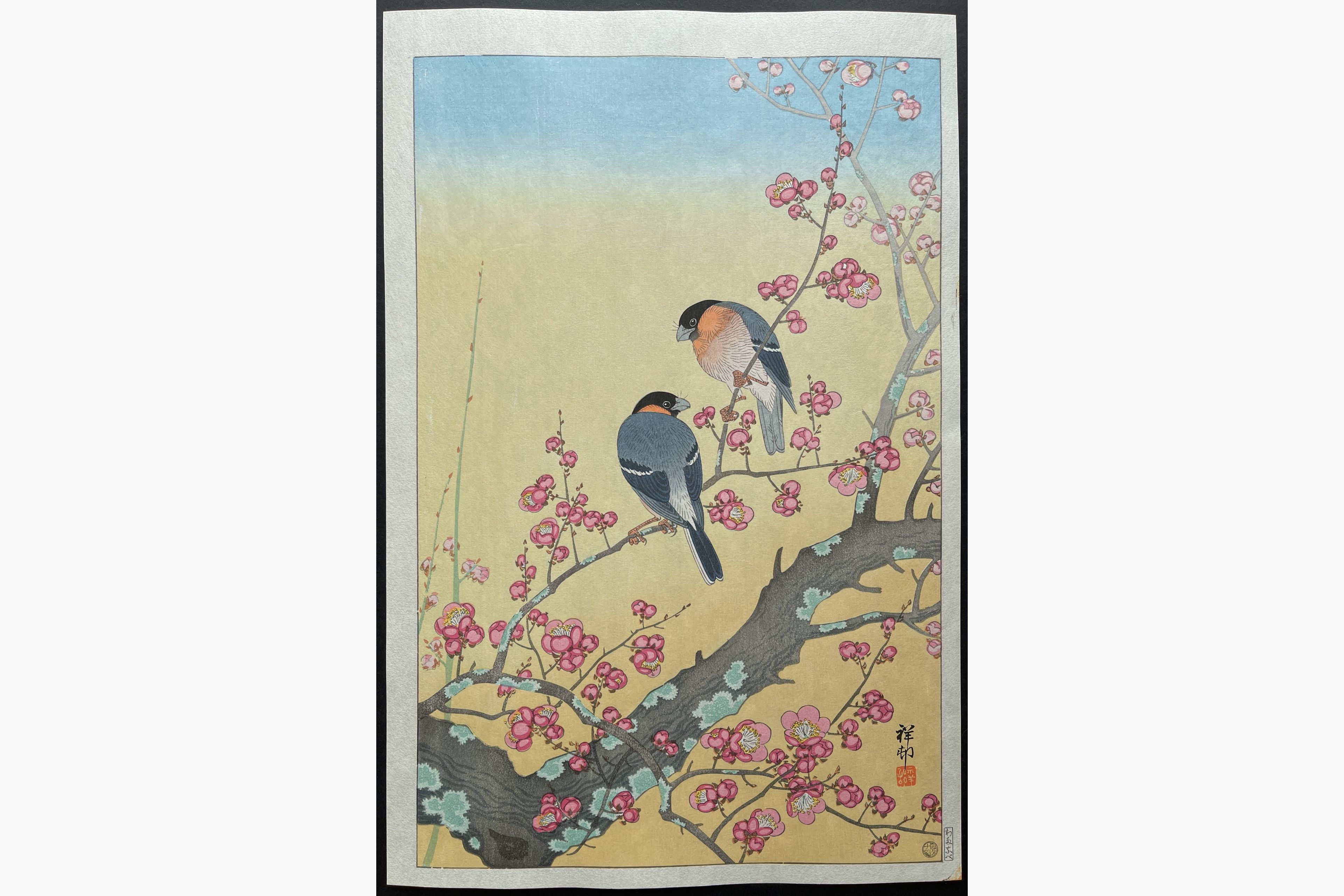 Japanese woodblock print - Ohara Koson - Plum Blossom and Japanese Nightingale