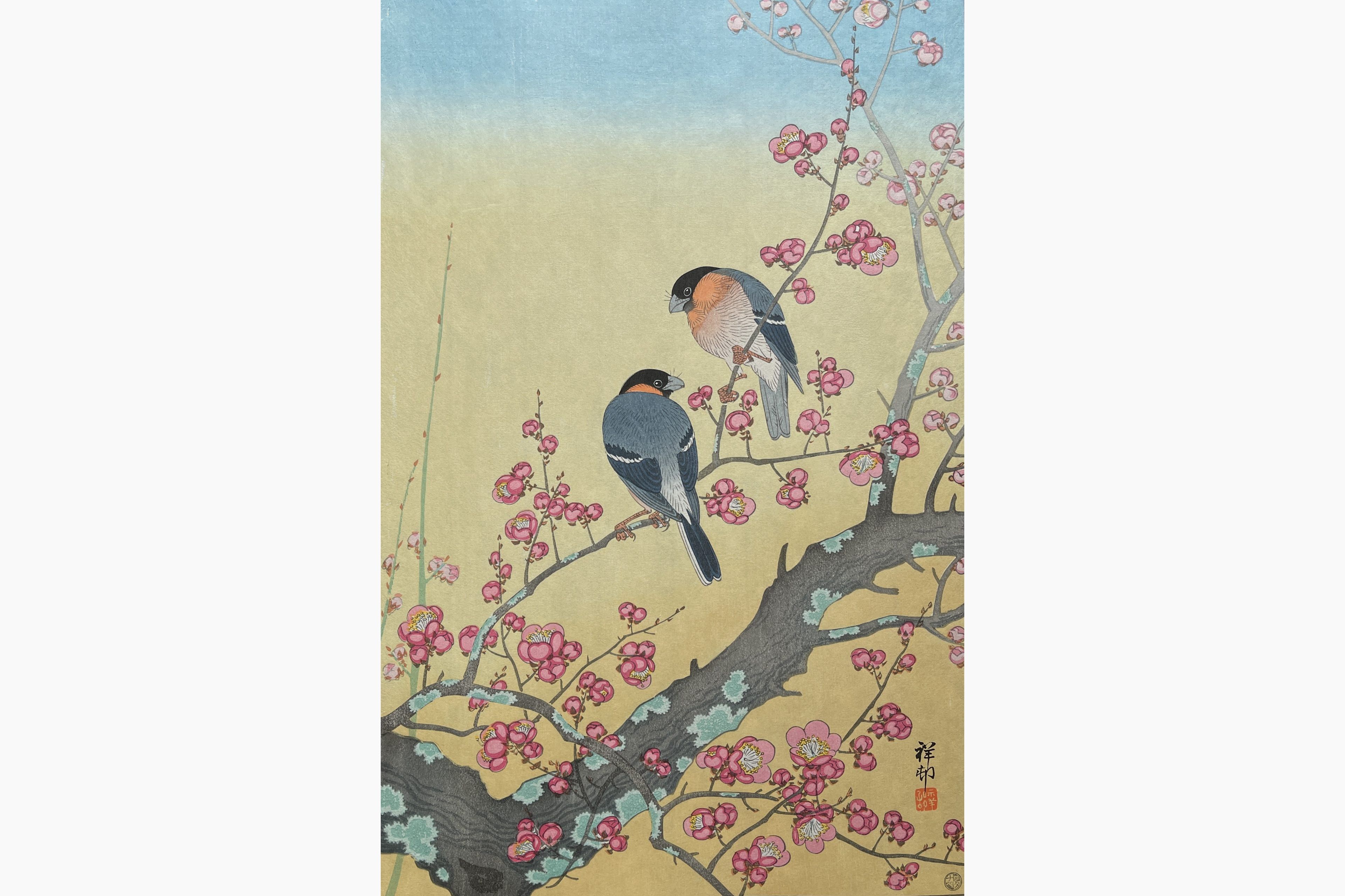 Original woodblock print - Ohara Koson - Plum Blossom and Japanese Nightingale