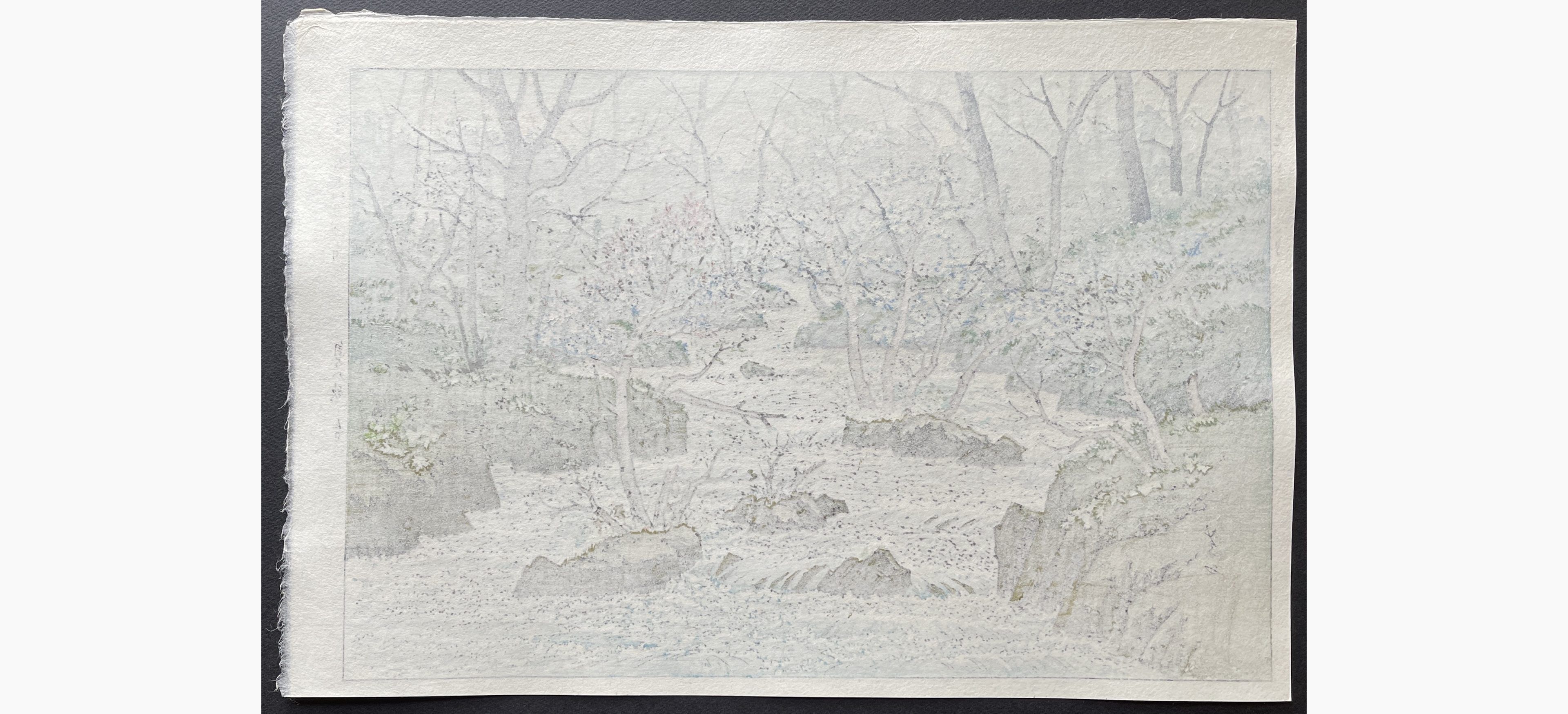Japanese print - Ito Takashi - Oirase in Spring