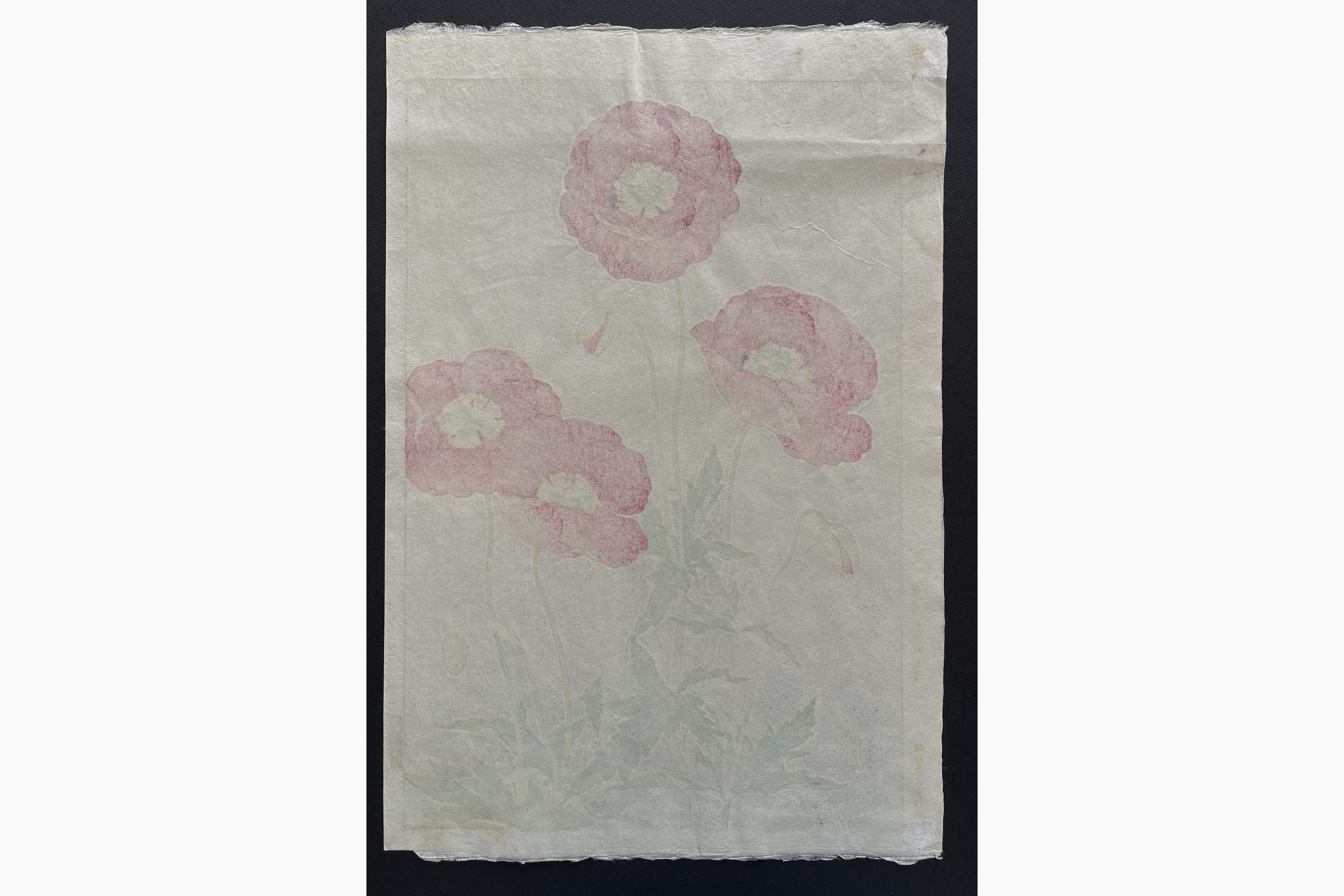Japanese print - Kawarazaki Shodo - Coquelicot