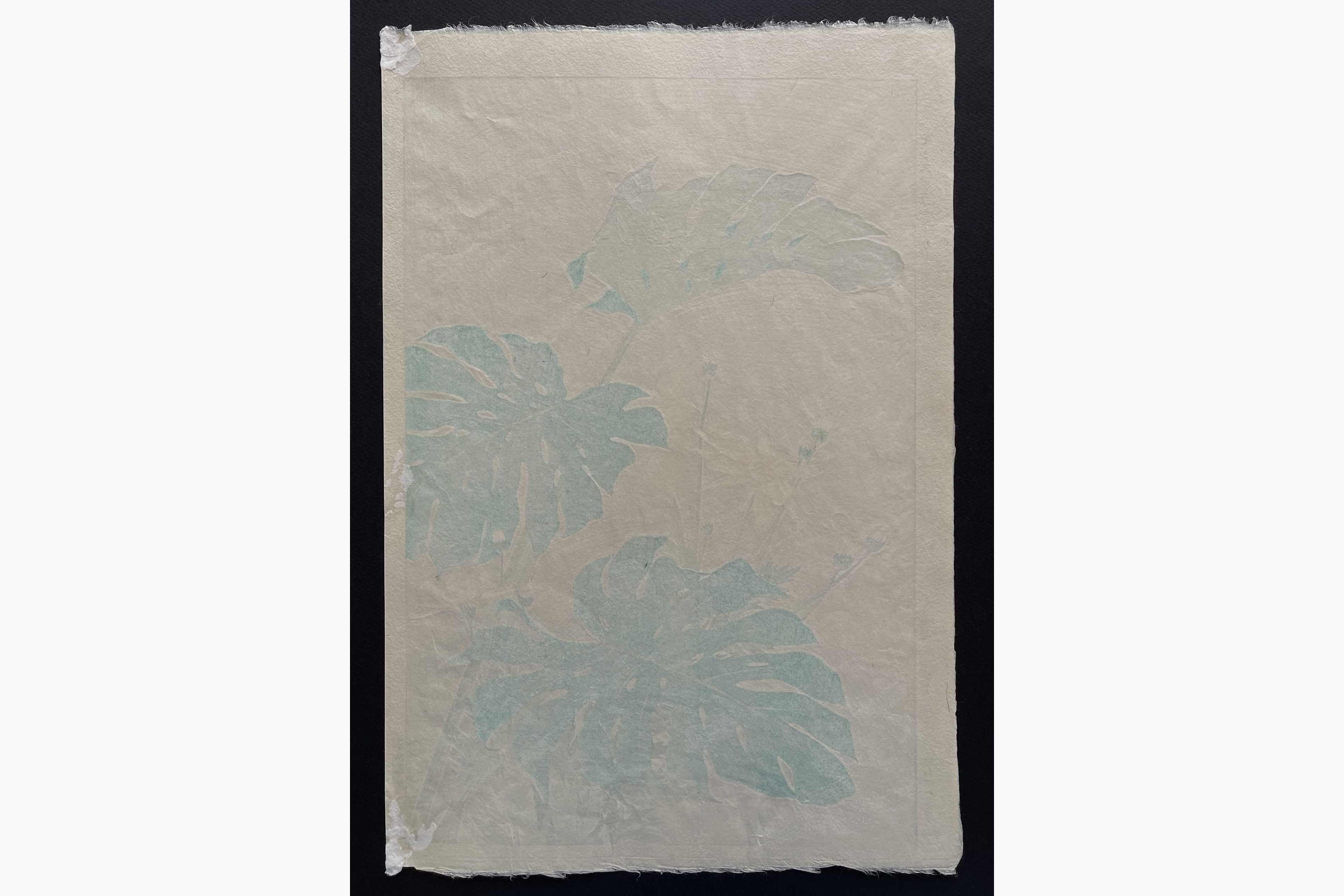 Japanese print - Kawarazaki Shodo - Monstera (Margaret)