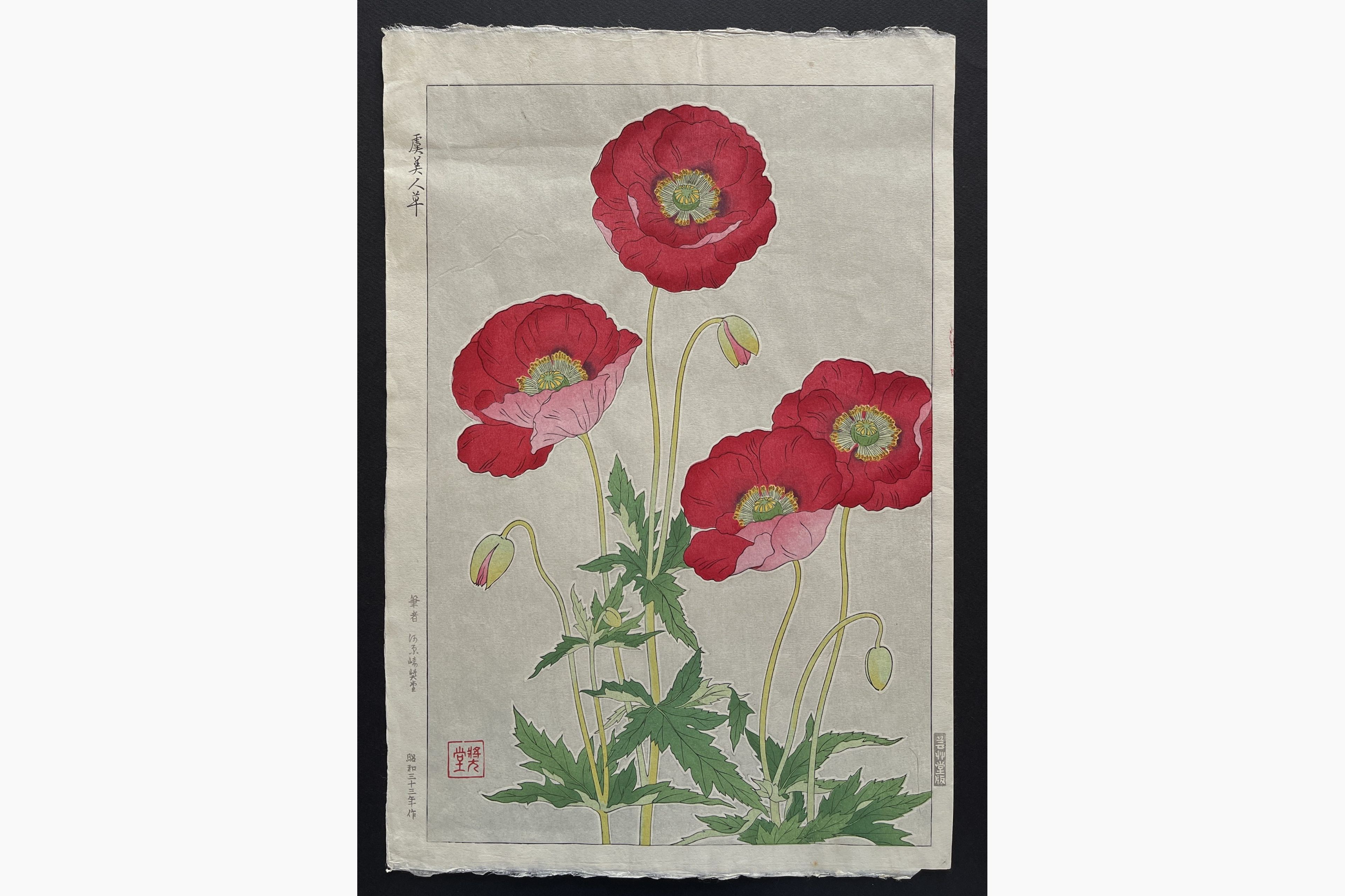 Japanese woodblock print - Kawarazaki Shodo - Coquelicot