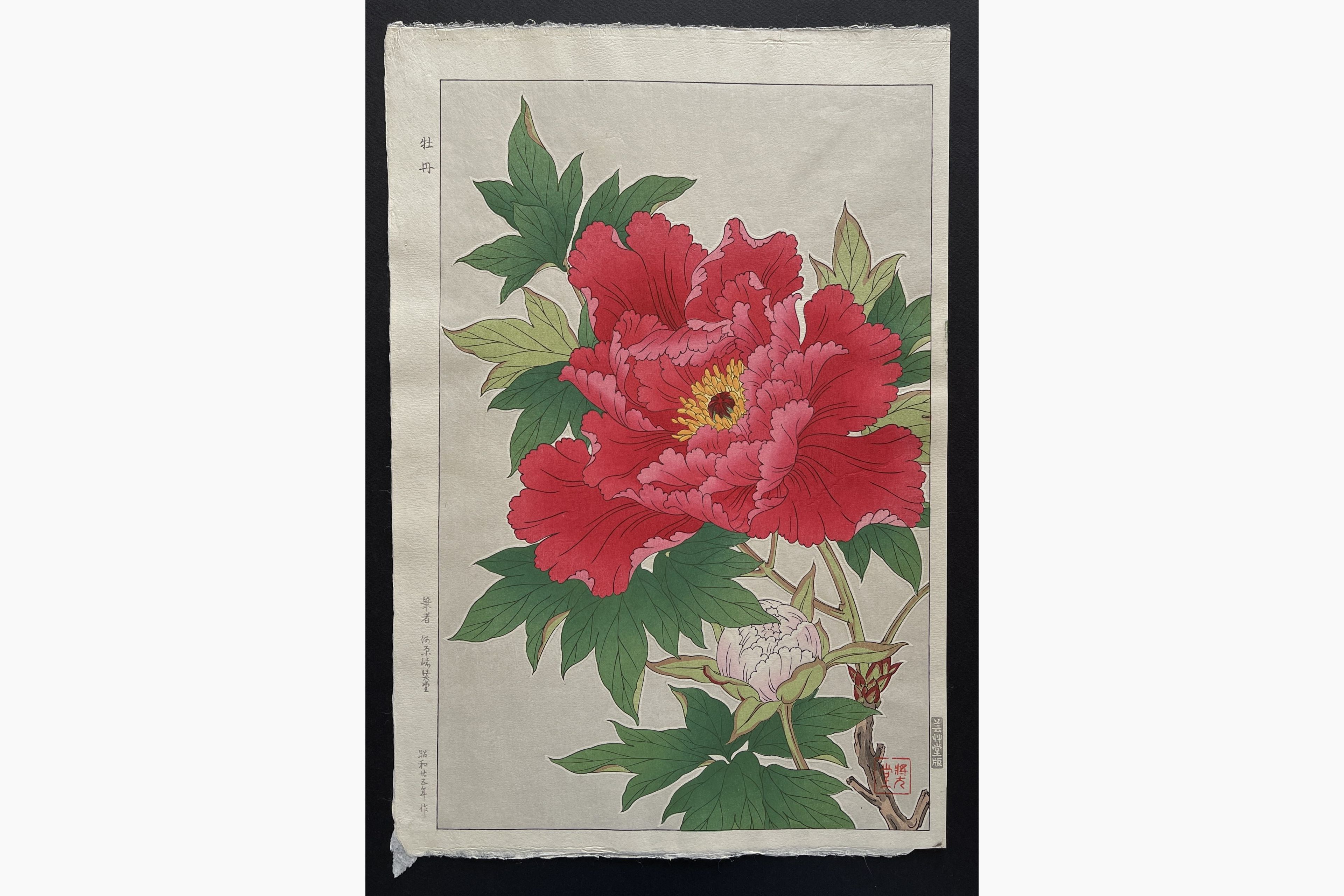 Japanese woodblock print - Kawarazaki Shodo - Peony