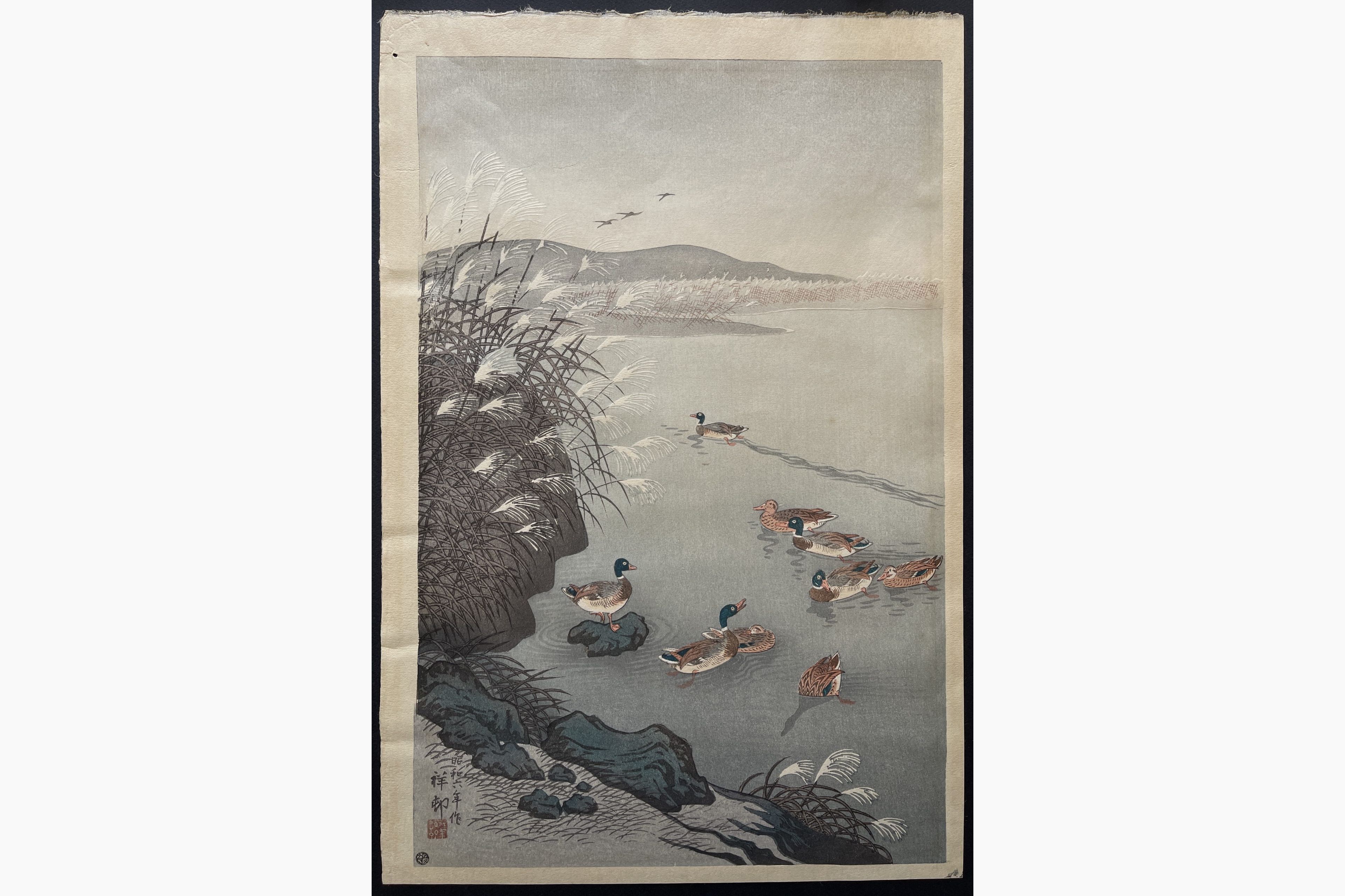 Japanese woodblock print - Ohara Koson - Mallards in a Coastal Scene