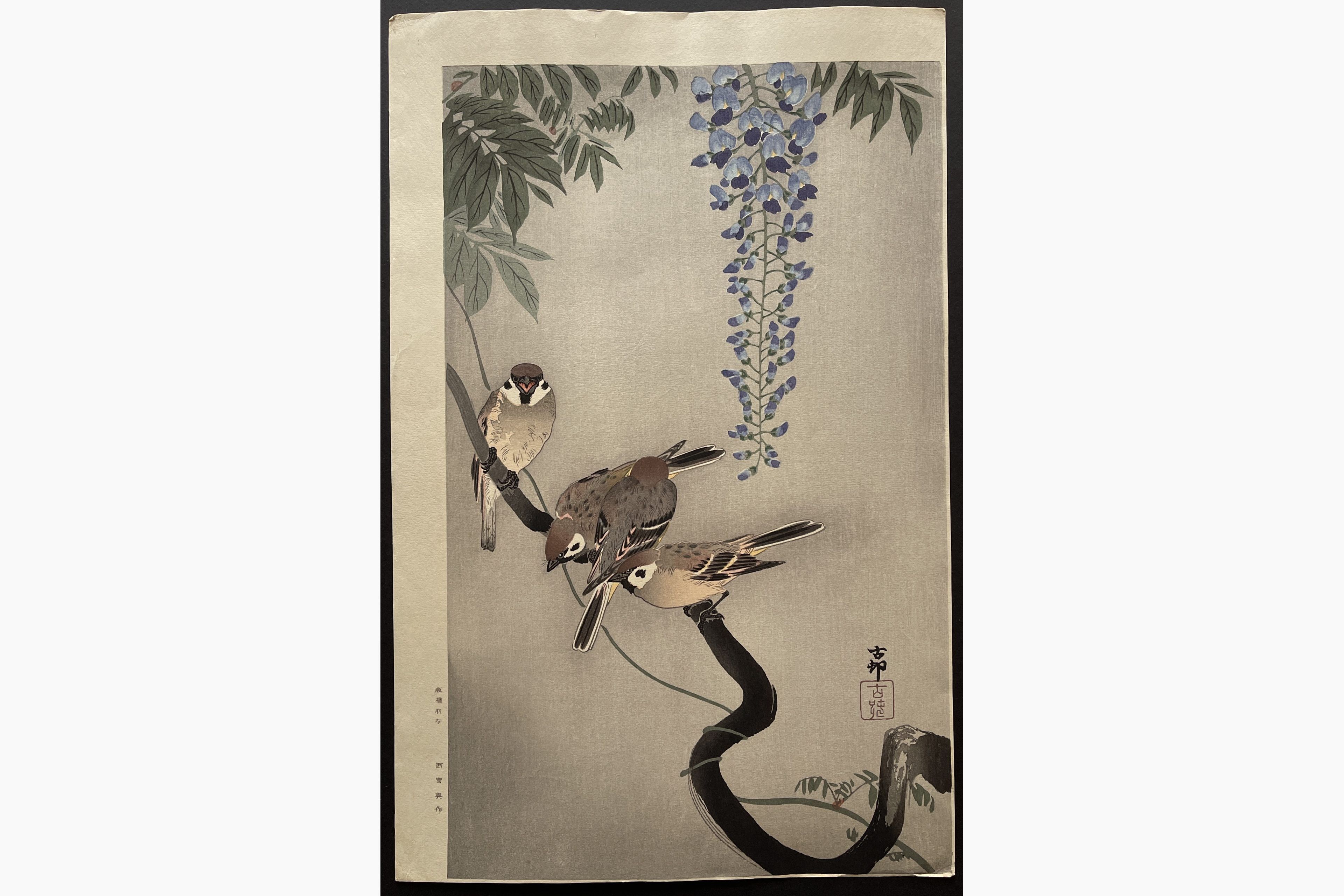 Japanese woodblock print - Ohara Koson - Sparrows and Wisteria