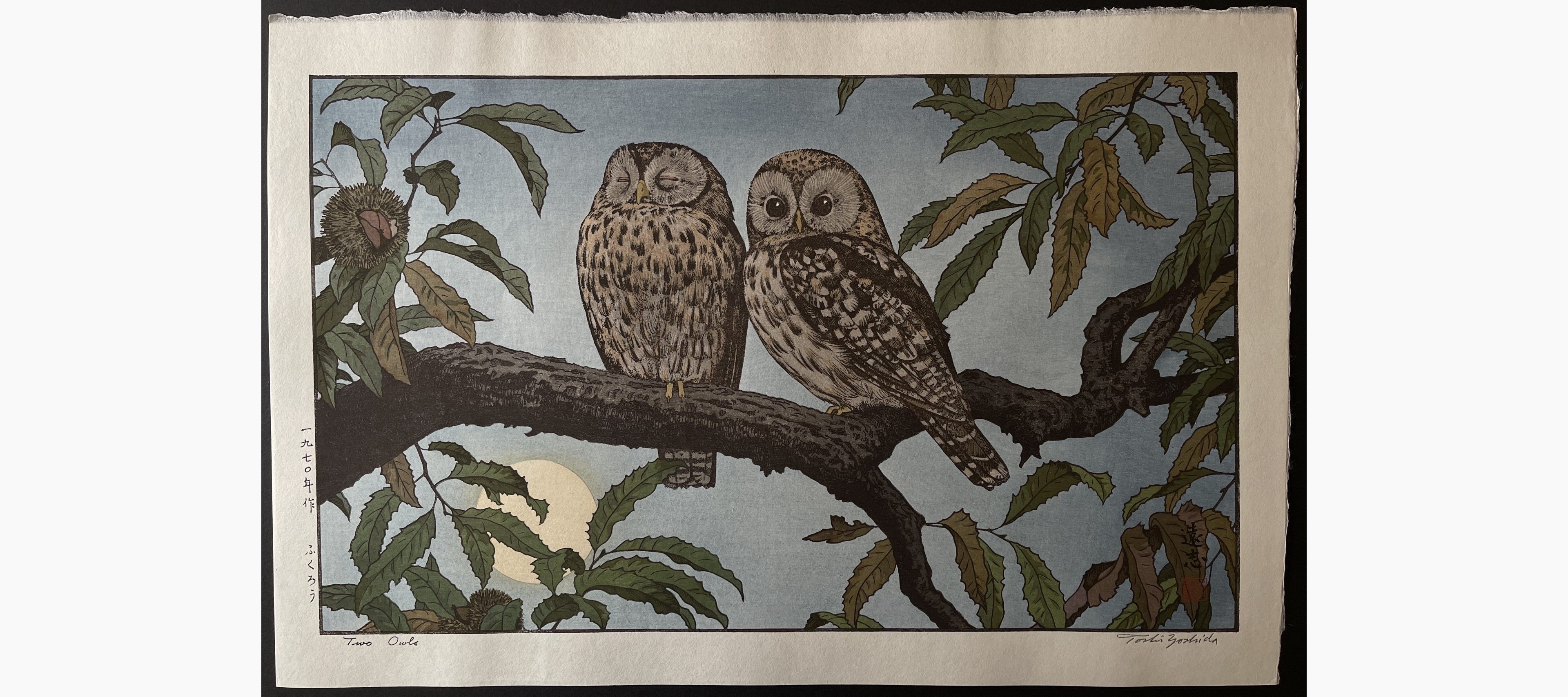 Japanese woodblock print - Toshi Yoshida - Owls