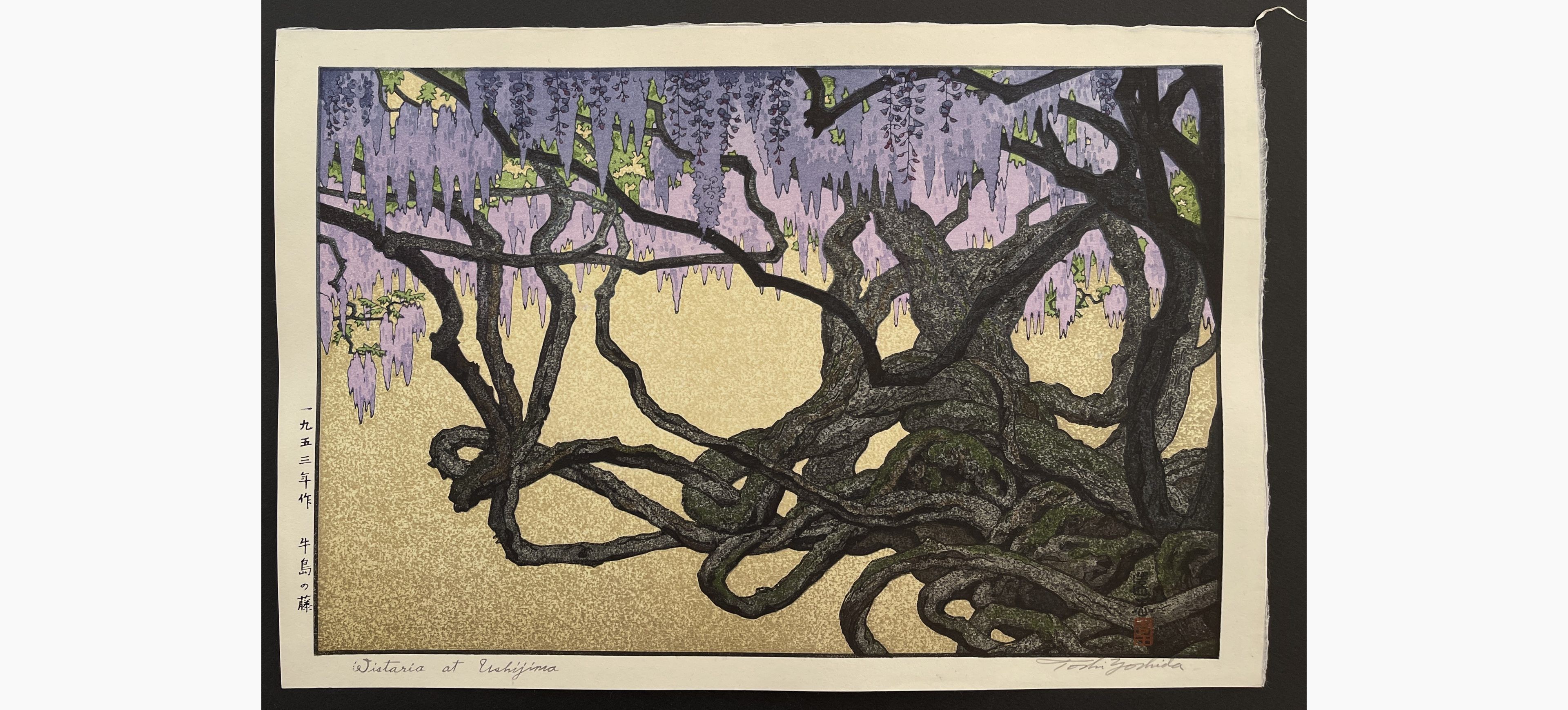 Japanese woodblock print - Toshi Yoshida - Wisteria at Ushijima