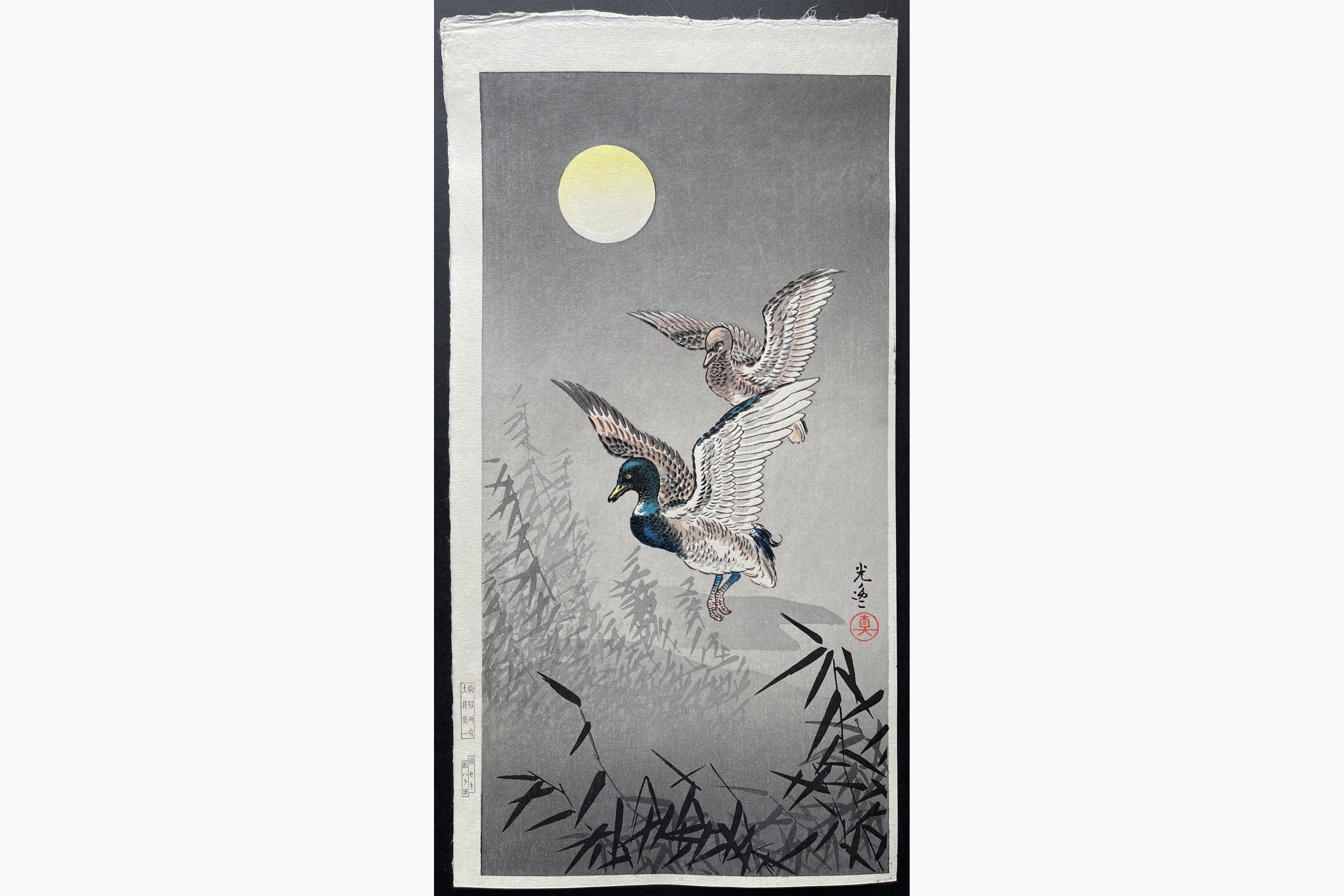 Japanese woodblock print - Tsuchiya Koitsu - Wild Duck (Mitsugiri)
