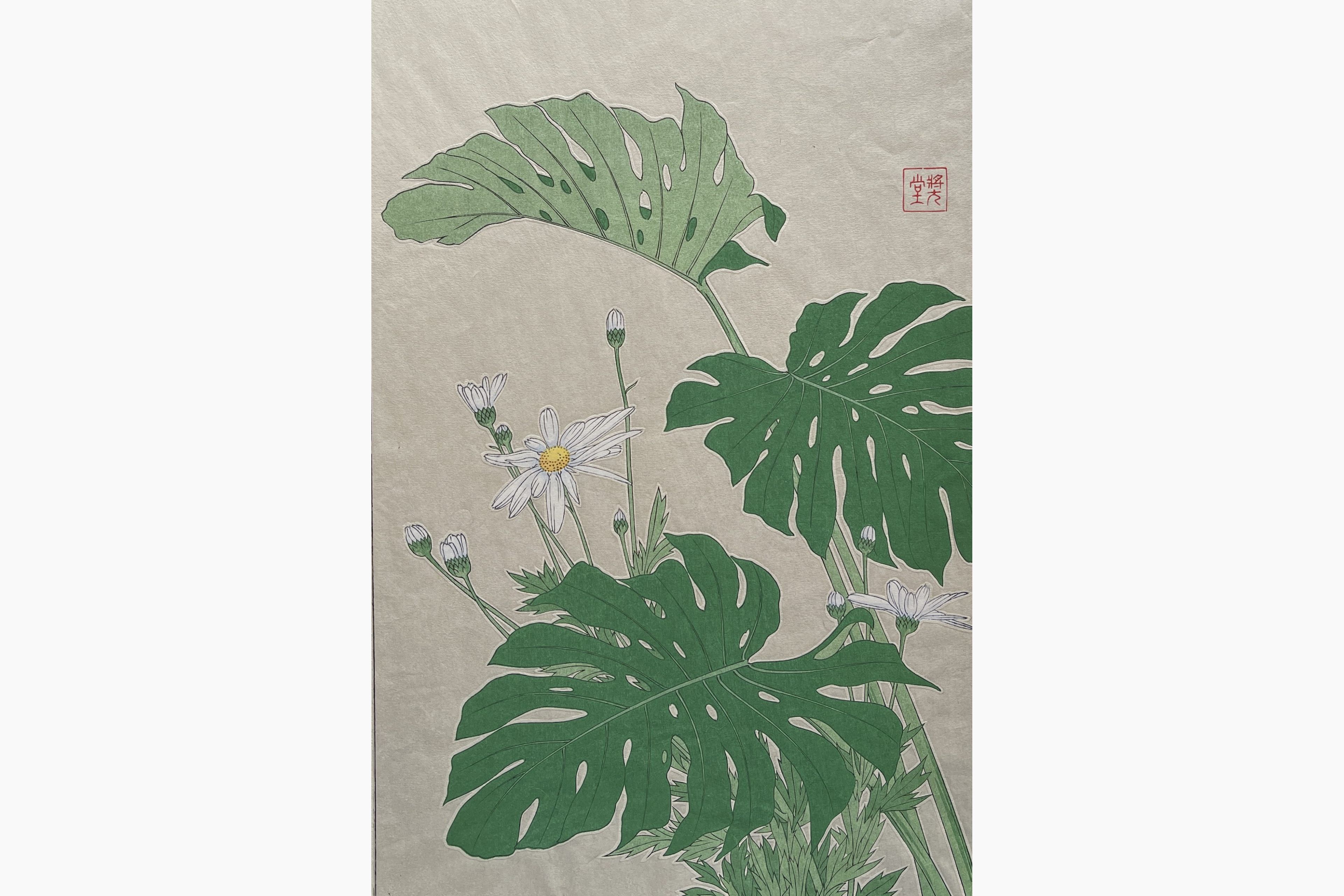 Original woodblock print - Kawarazaki Shodo - Monstera (Margaret)