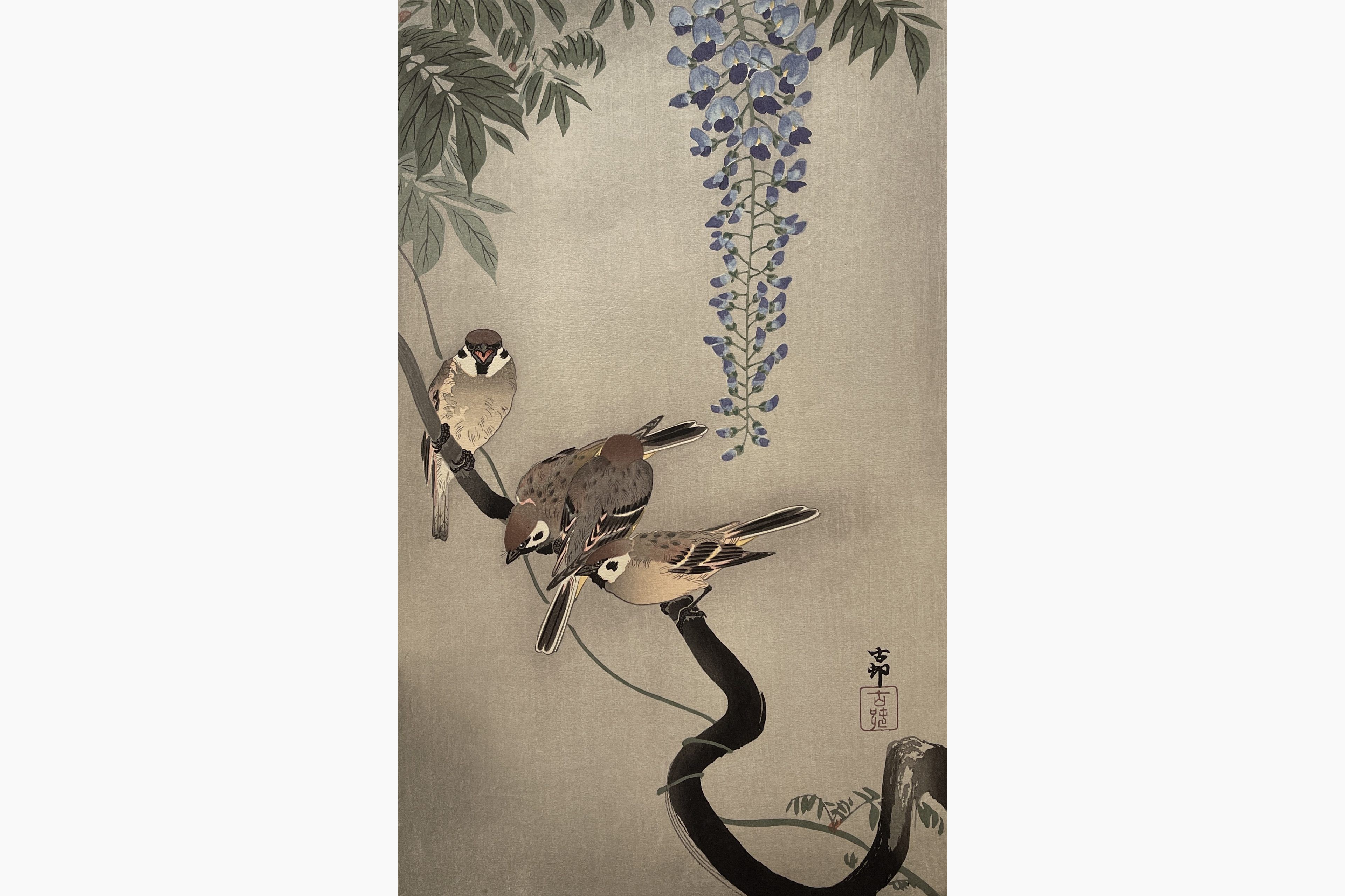 Original woodblock print - Ohara Koson - Sparrows and Wisteria