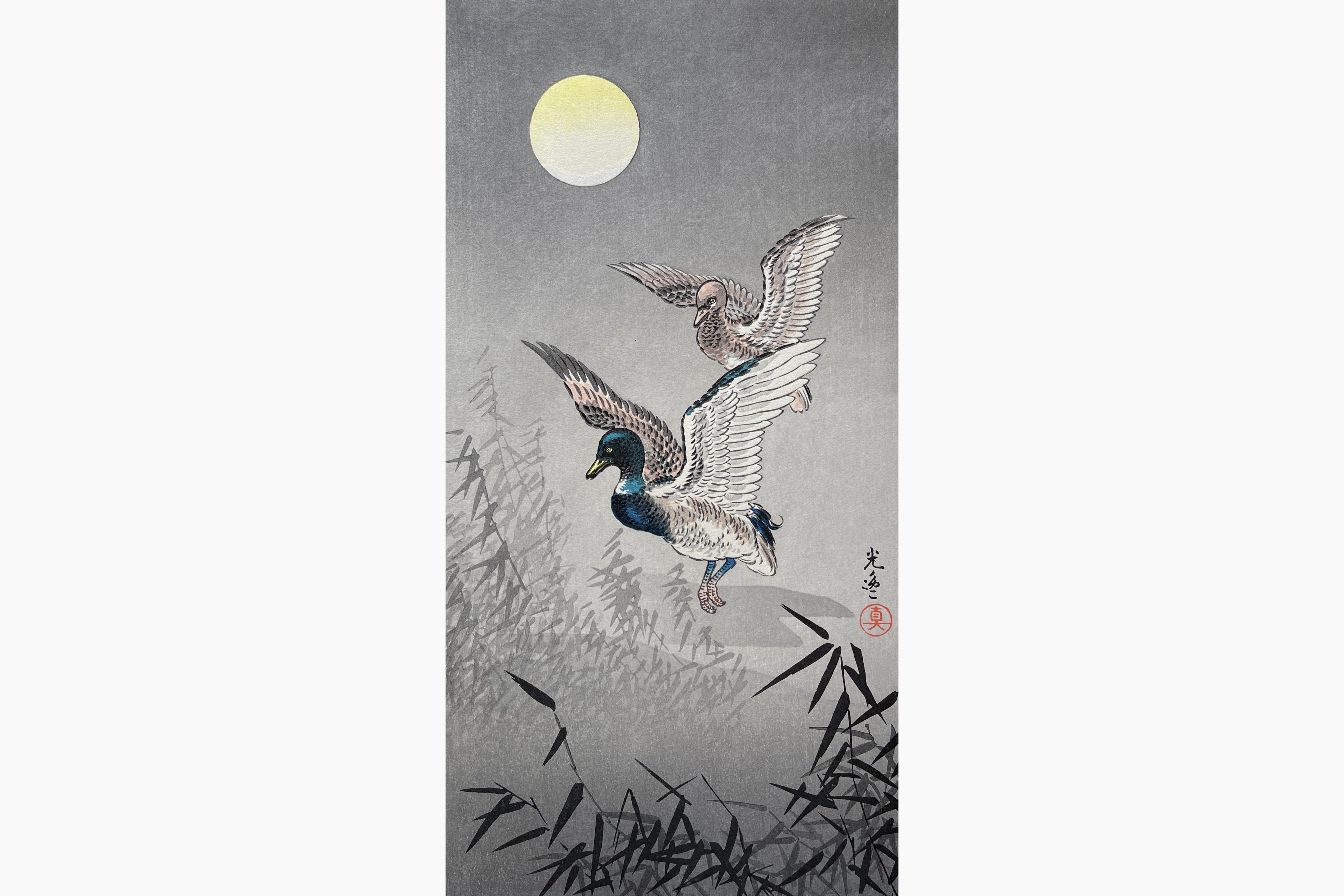 Original woodblock print - Tsuchiya Koitsu - Wild Duck (Mitsugiri)