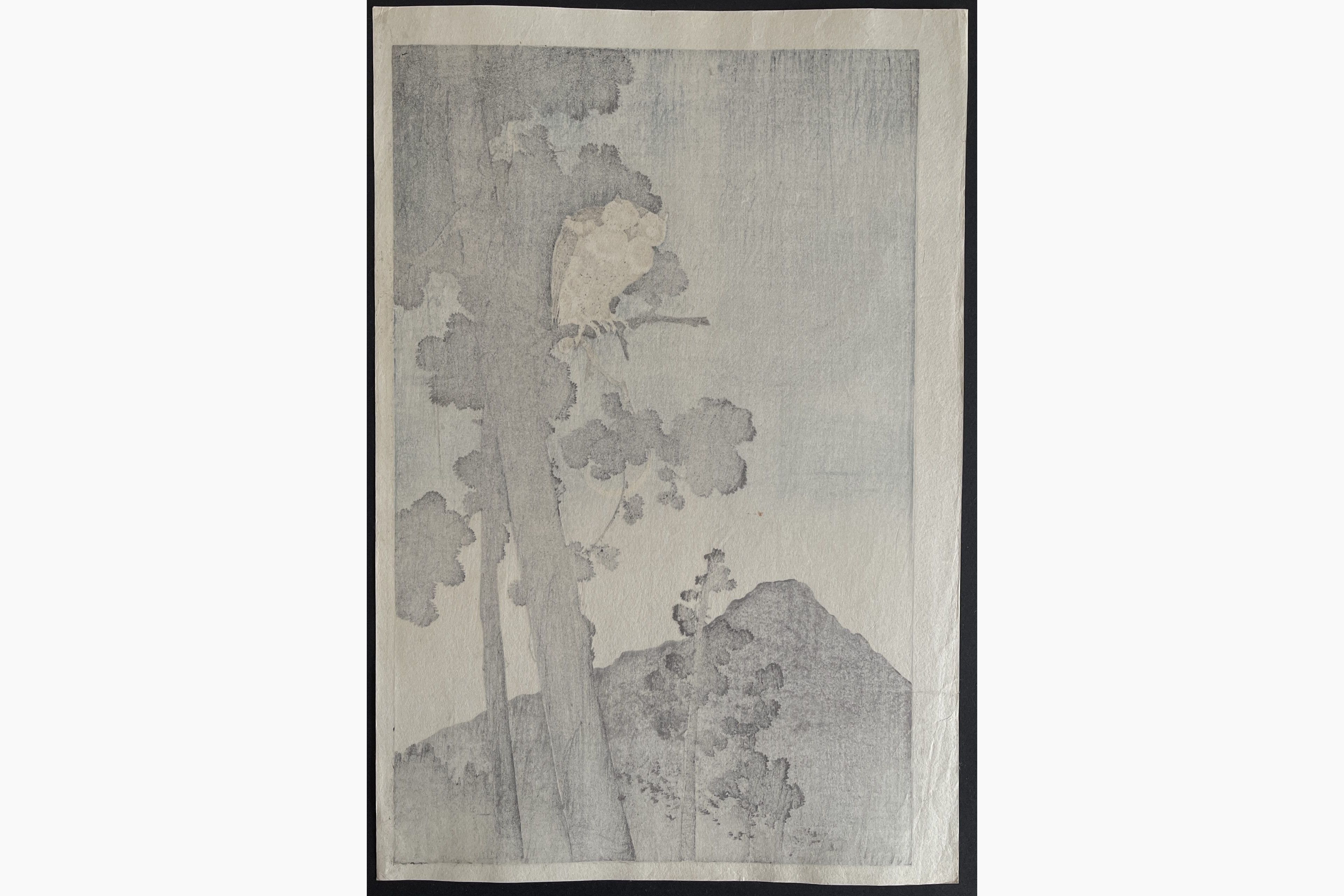 Japanese print - Gesso Yoshimoto - Owl in the Evening