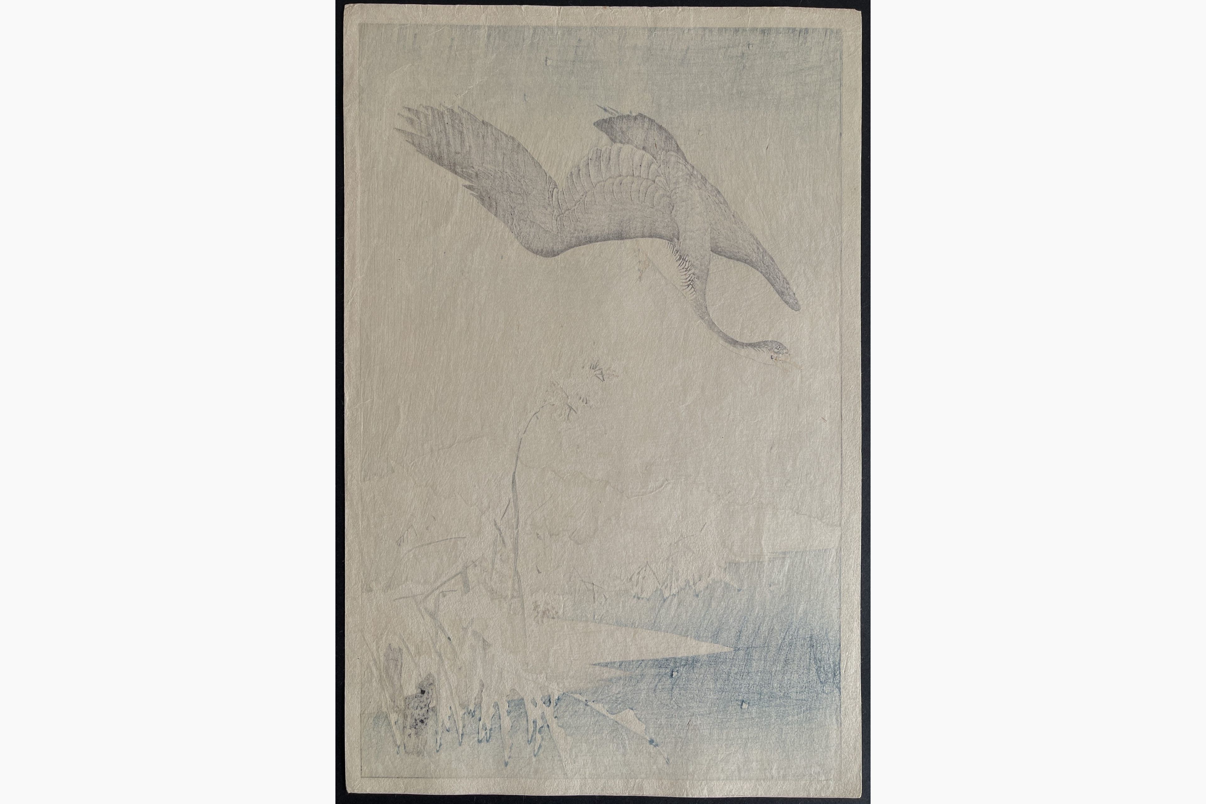 Japanese print - Gesso Yoshimoto - Wild Goose over a Snowy Pond